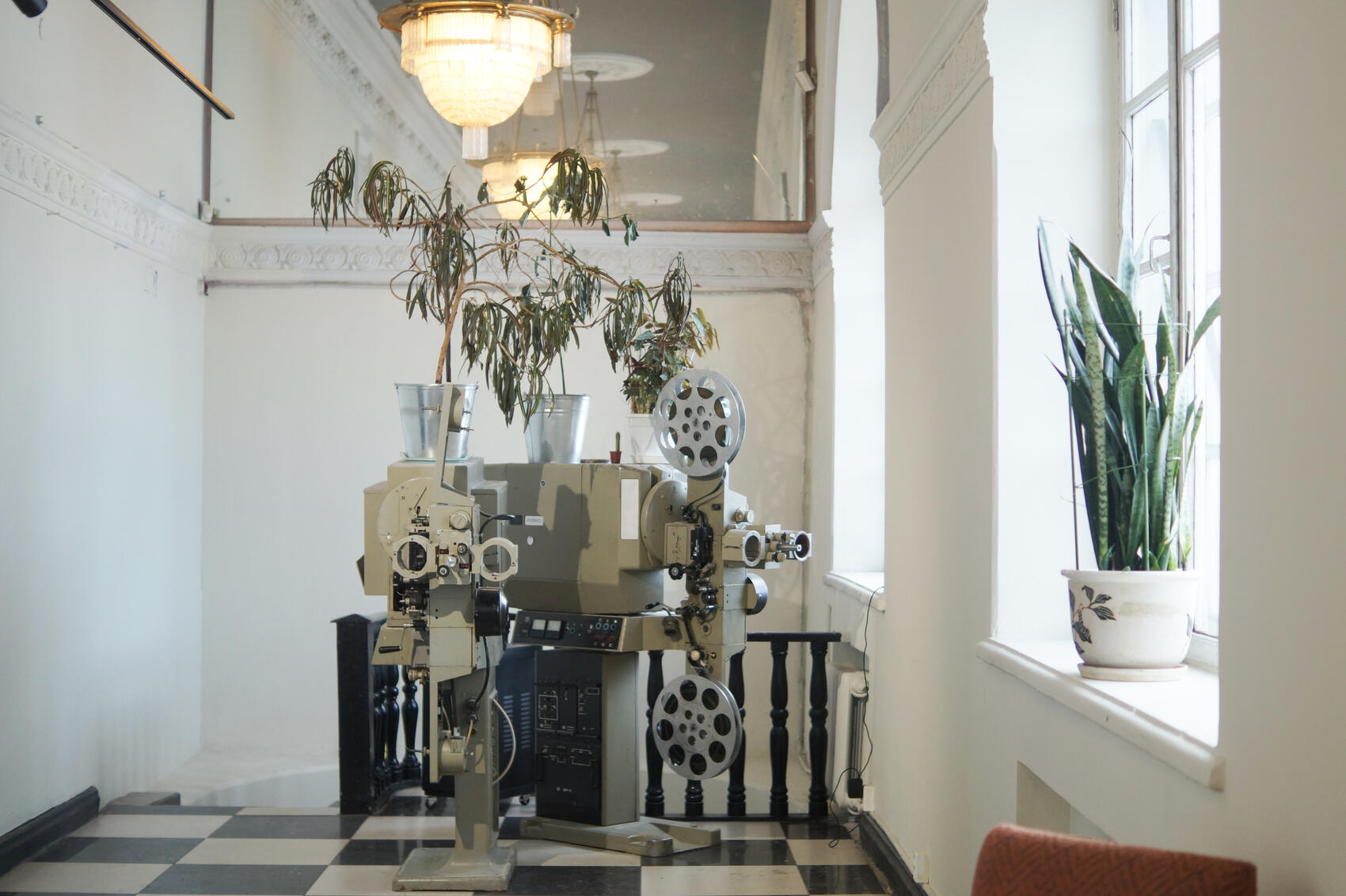 Фото: Елена Елизарова / It's My City