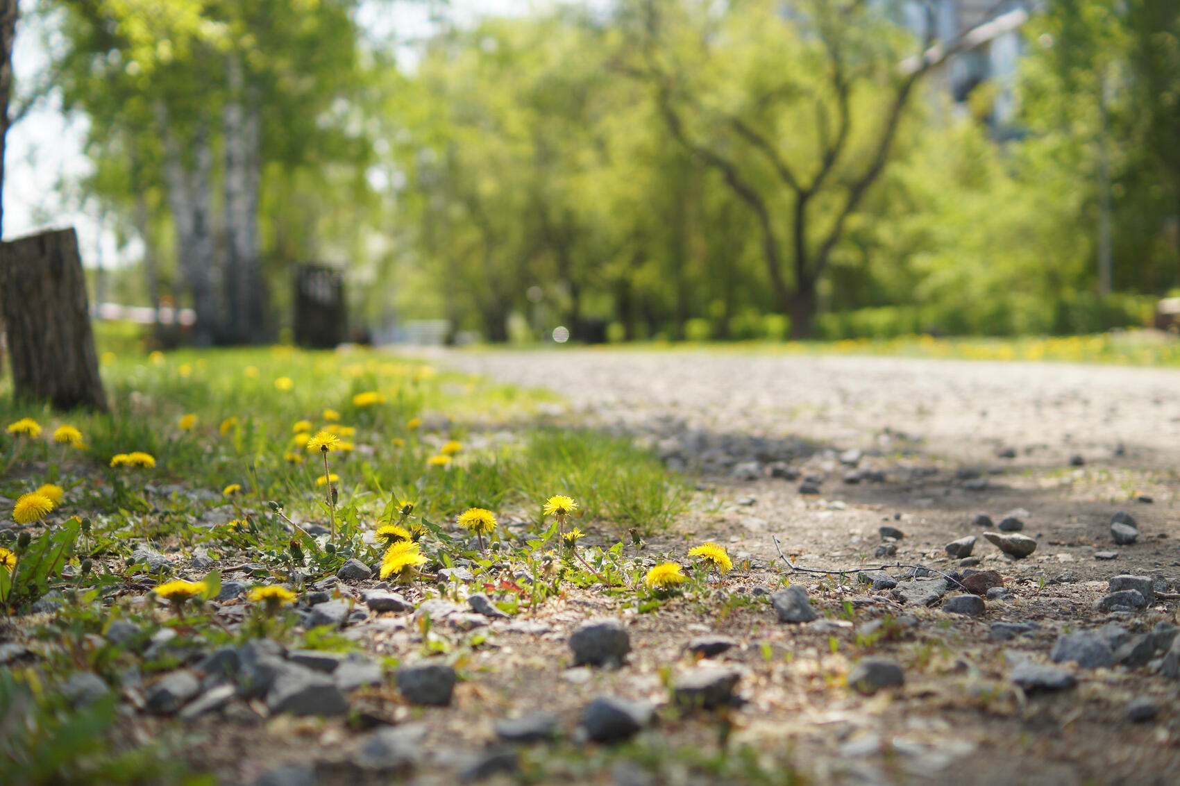 Фото: Елена Елизарова / It’s My&nbsp;City