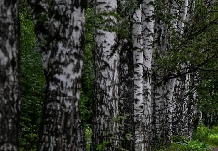 Фото: Стас Насонов / It's My City