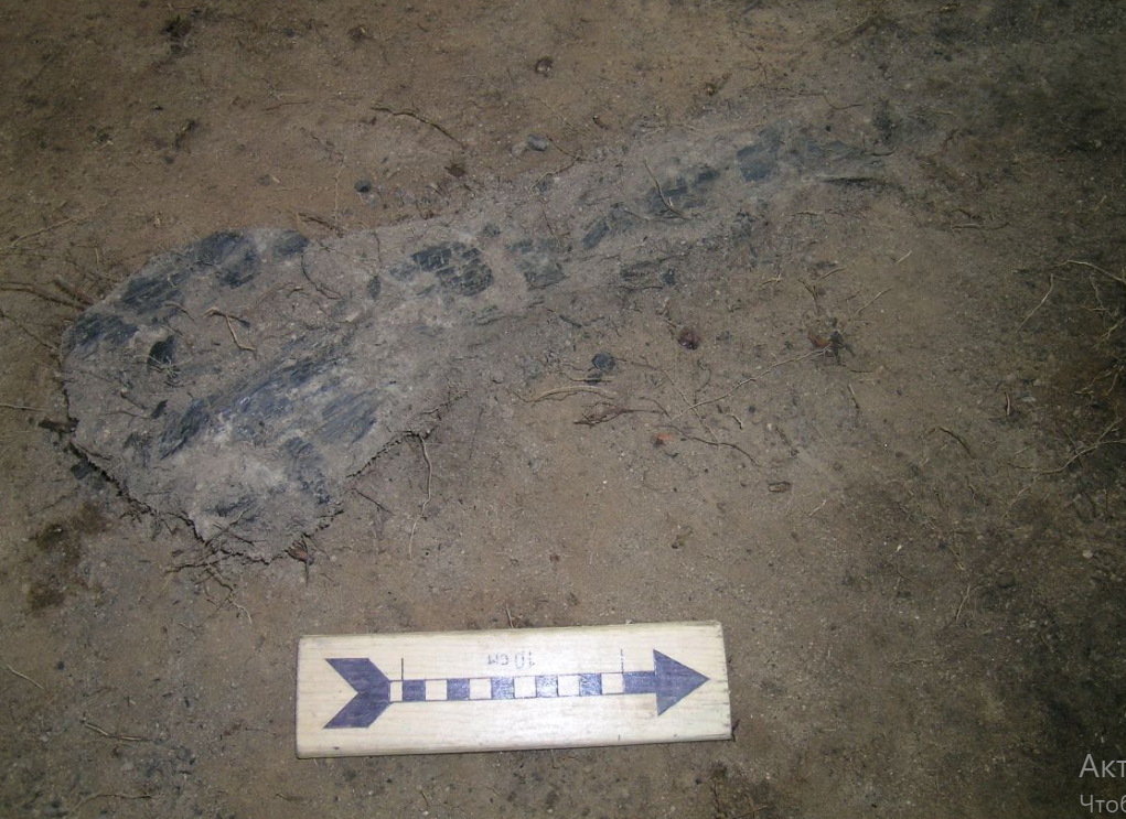 Фото: «Истоки Исети»