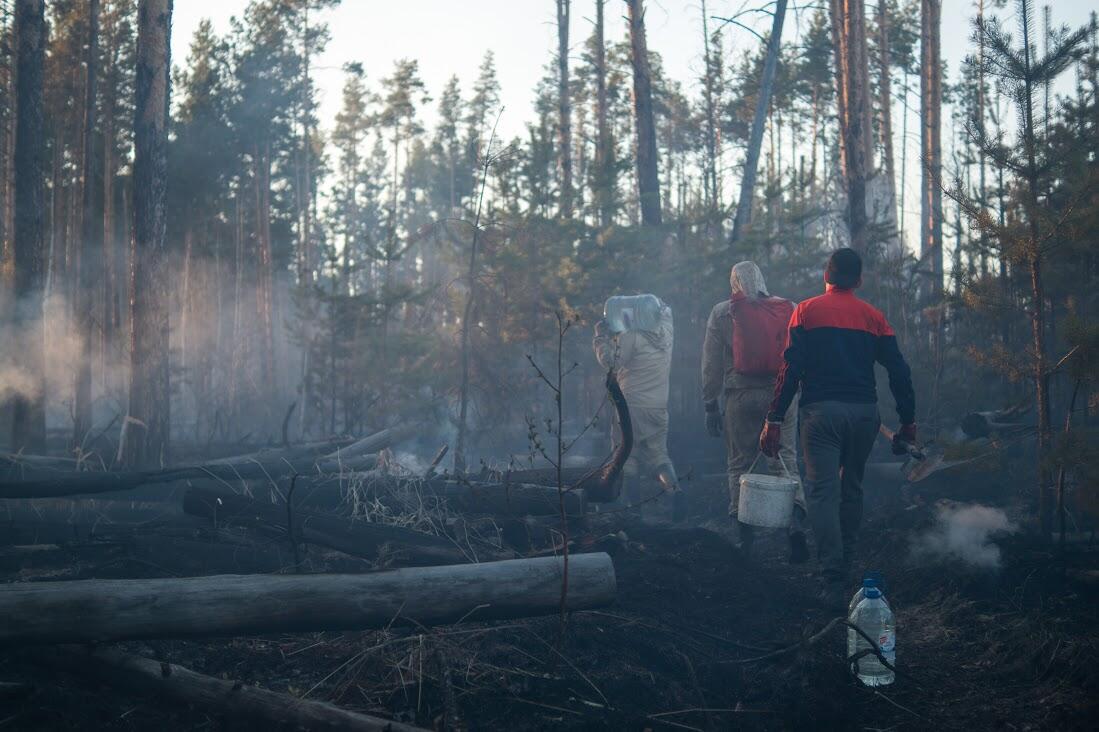 Фото: Елена Елизарова / It's My City