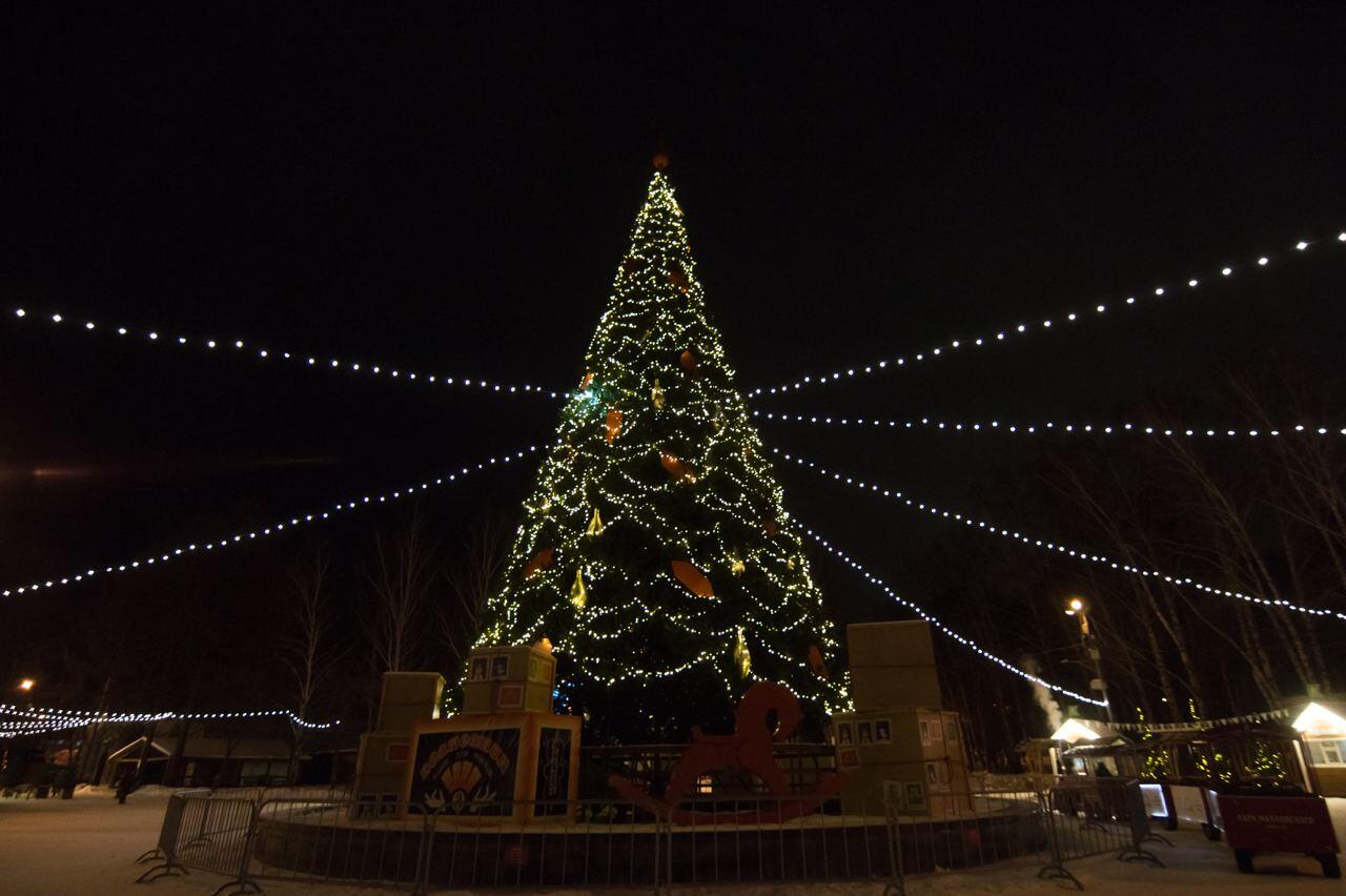 Фото: Елена Елизарова / It’s My&nbsp;City