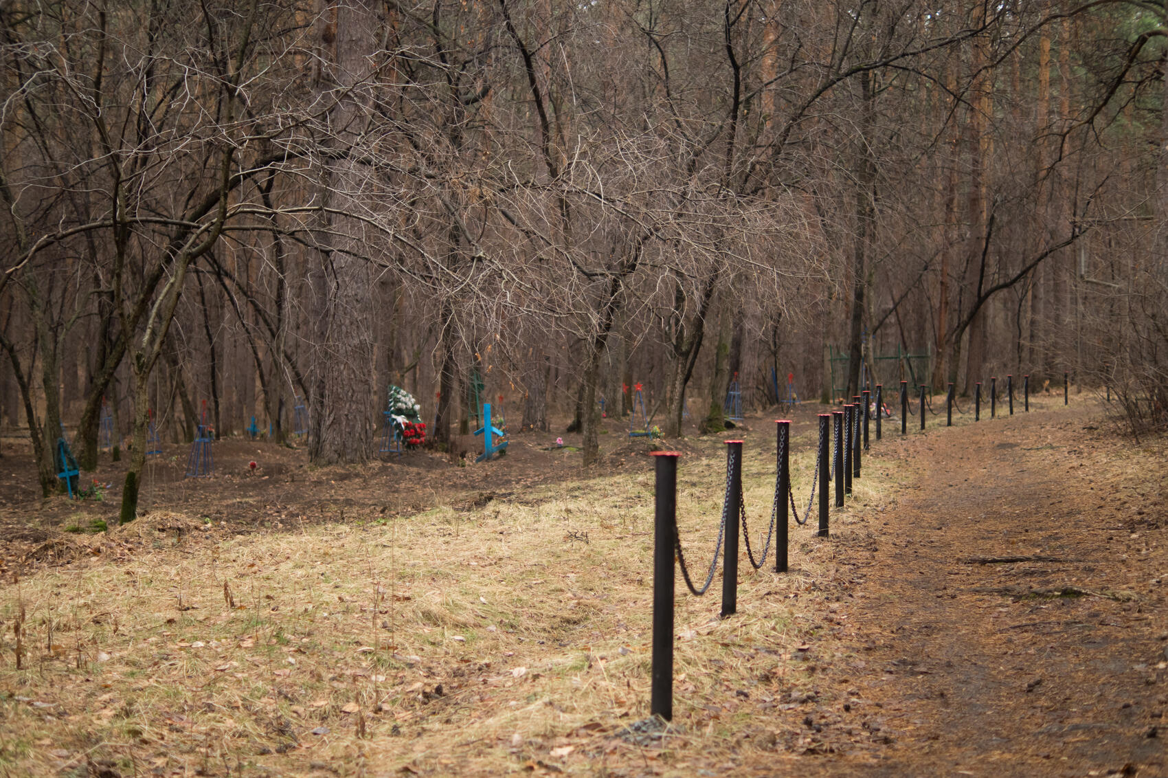 Фото: Елена Елизарова / It's My City