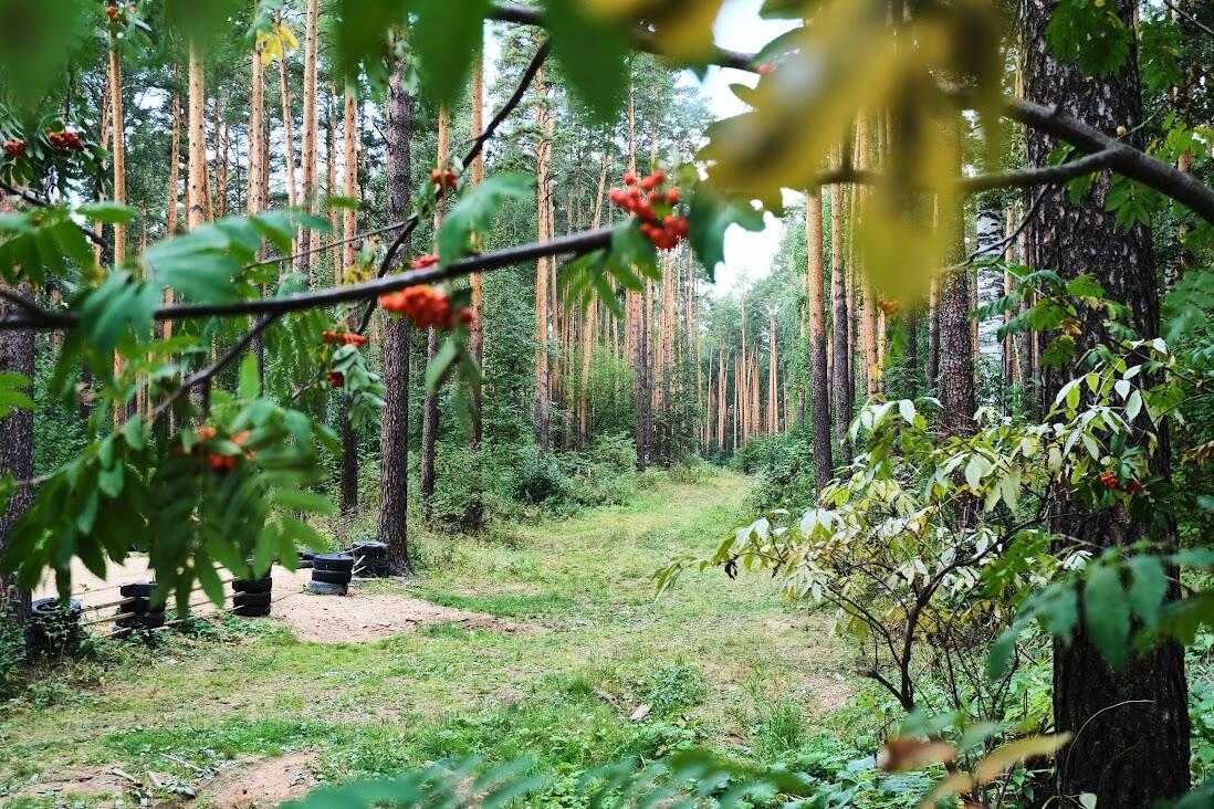 Фото: Саша Зубковский / It's My City