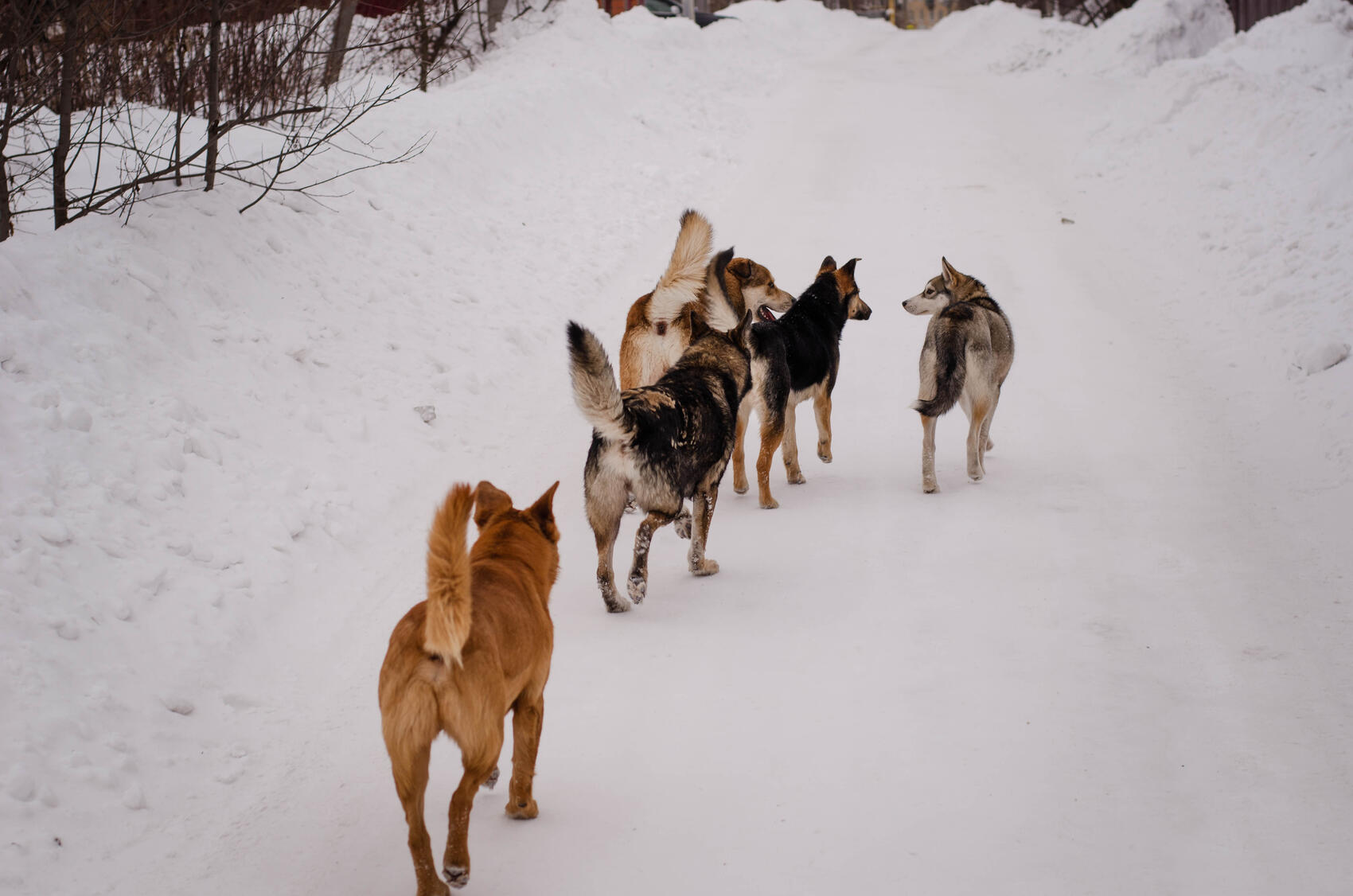 Фото: Евгения Кобеева / It's My City