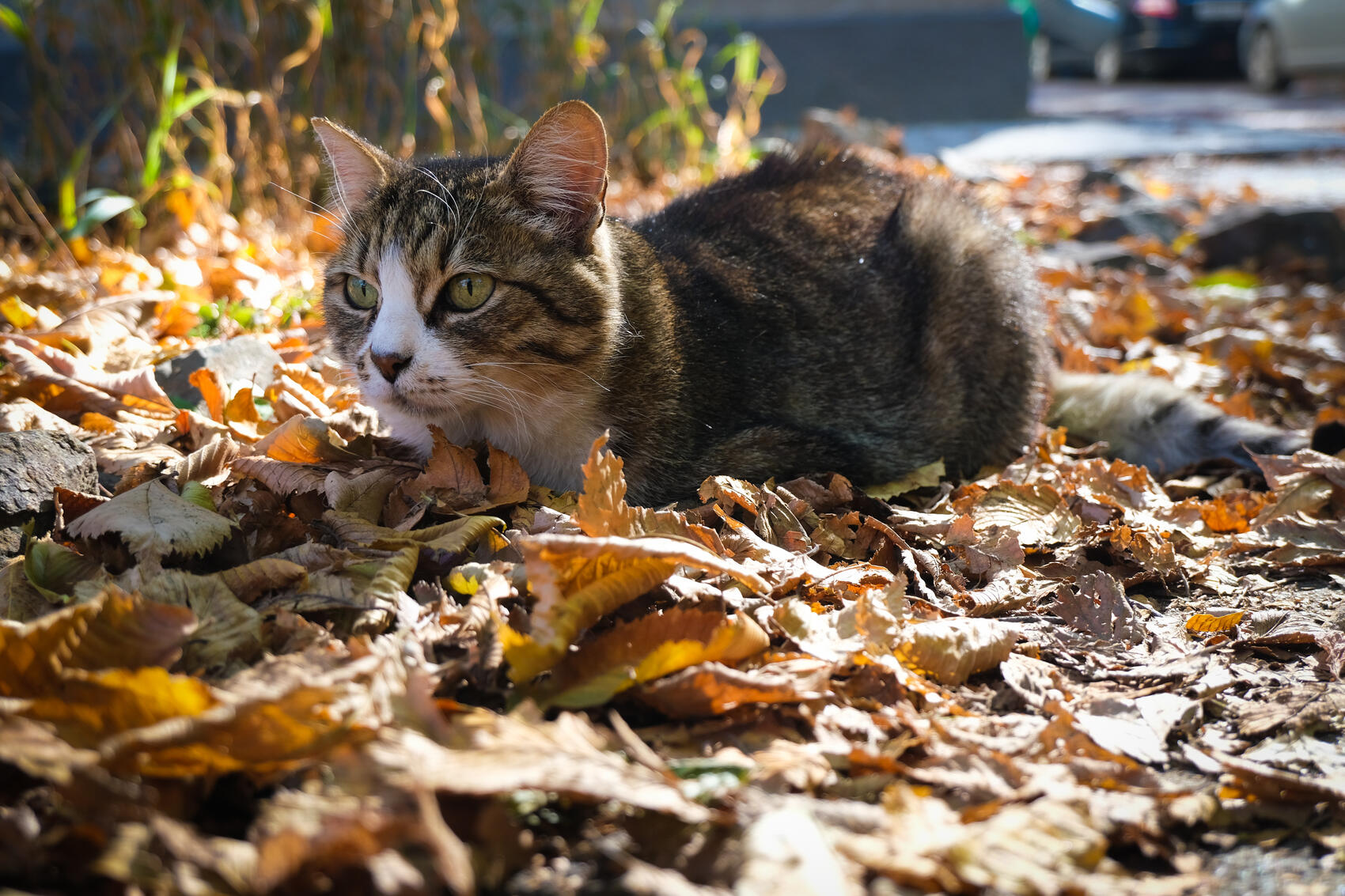 Фото: Саша Зубковский / It's My City