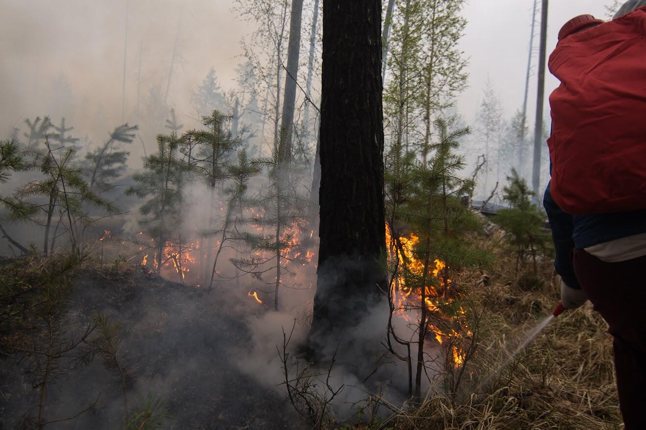 Фото: Елена Елизарова / It's My City