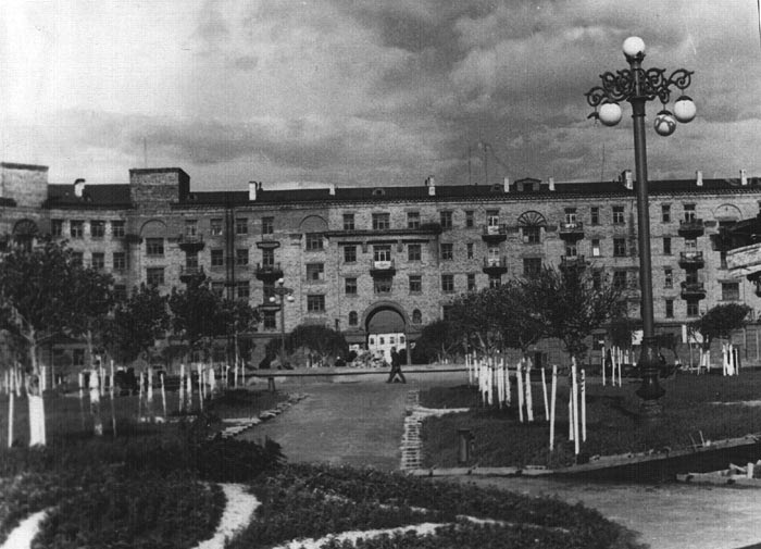 Молодые деревья позволяют разглядеть масштаб «Стоквартирного дома»