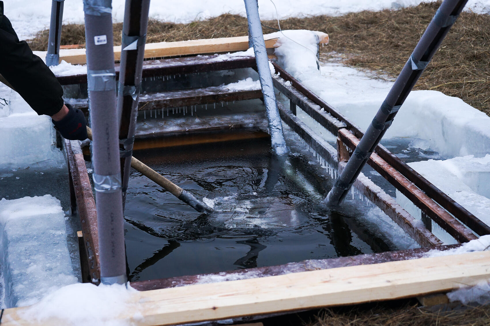 Фото: Арина Томашова / It's My City