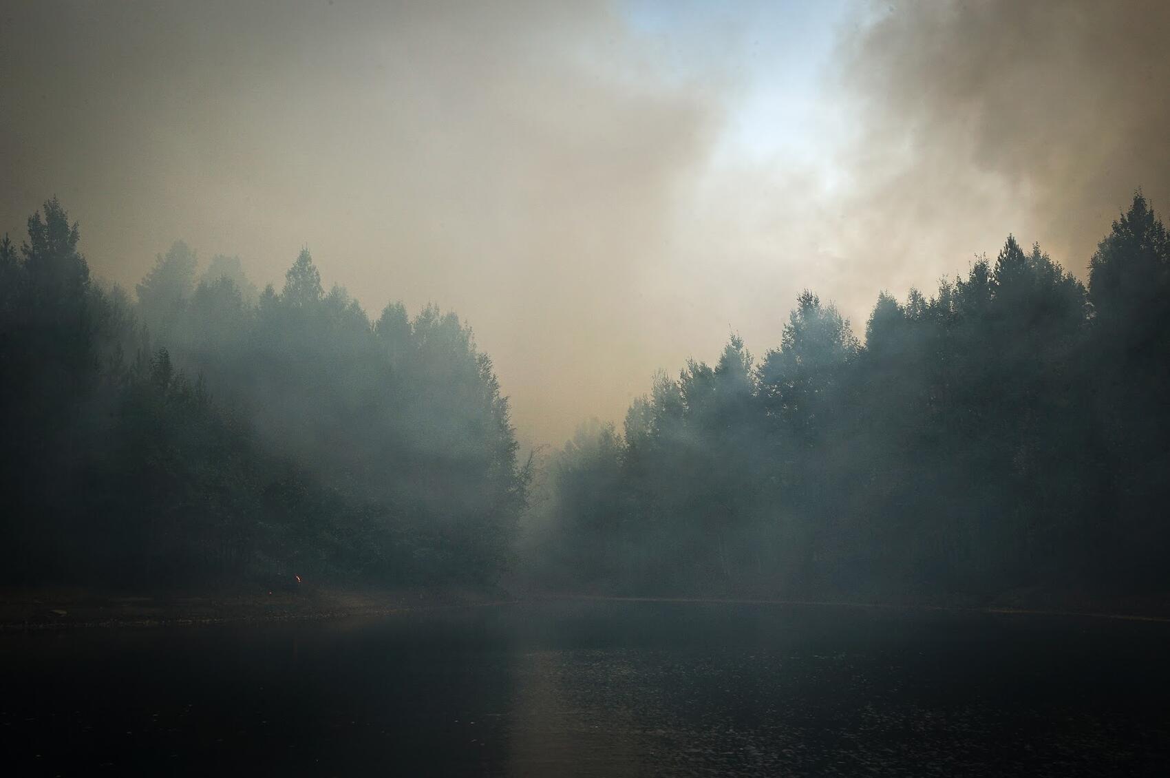 Водоем, из которого в СНТ «Мирный» подается вода. Фото: Арина Томашова / It's My City