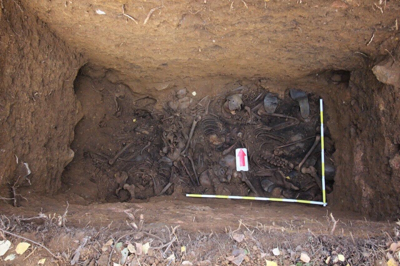 Останки, найденные при раскопках. Фото: Игорь Пушкарев