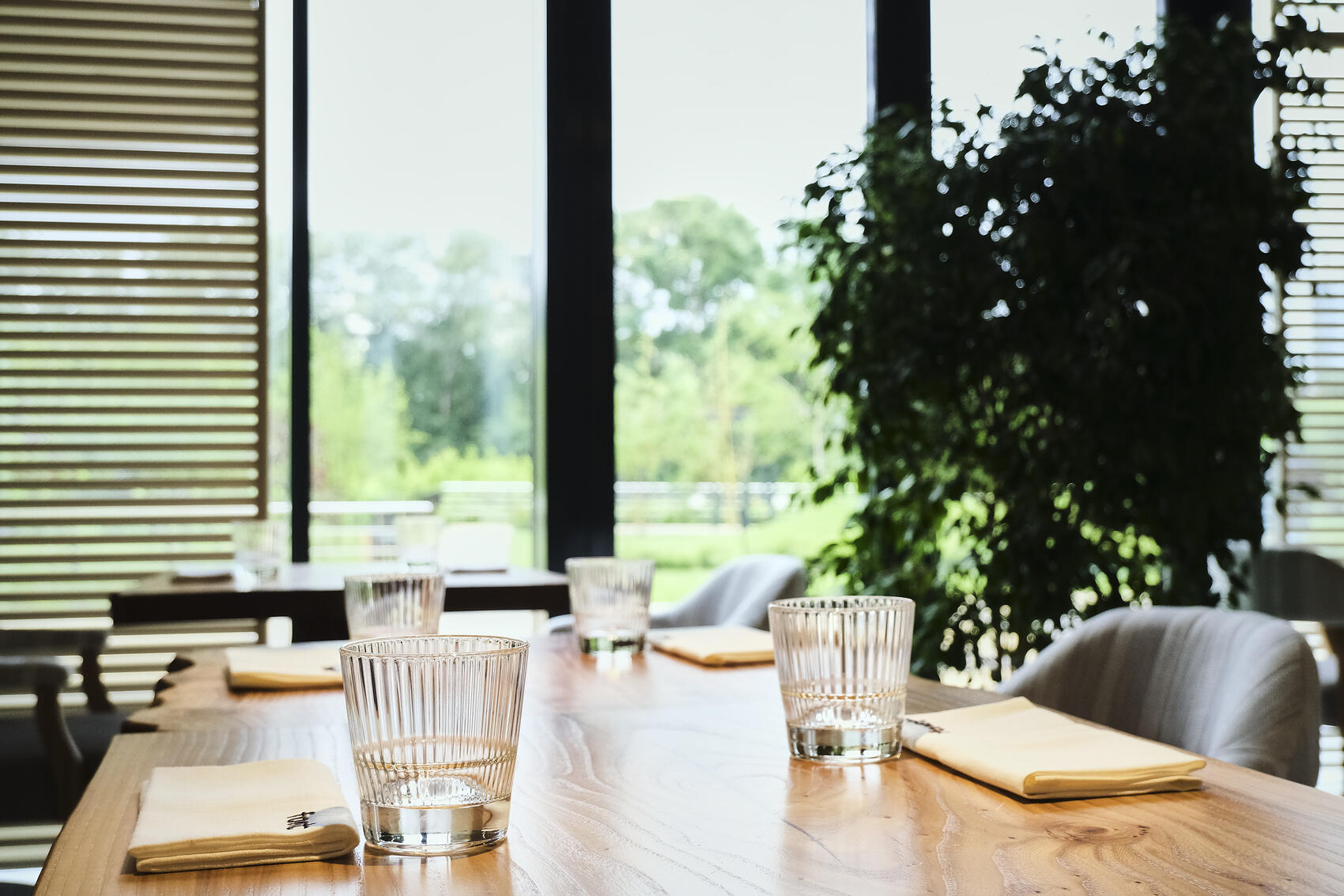 Фото: Саша Зубковский /It's My City