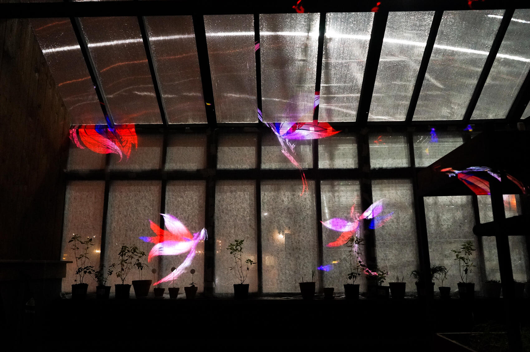 Фото: Арина Томашова / It’s My City