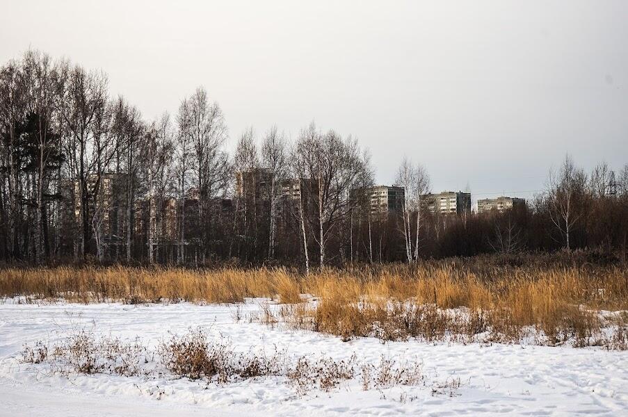 Фото: Арина Томашова / It’s My City