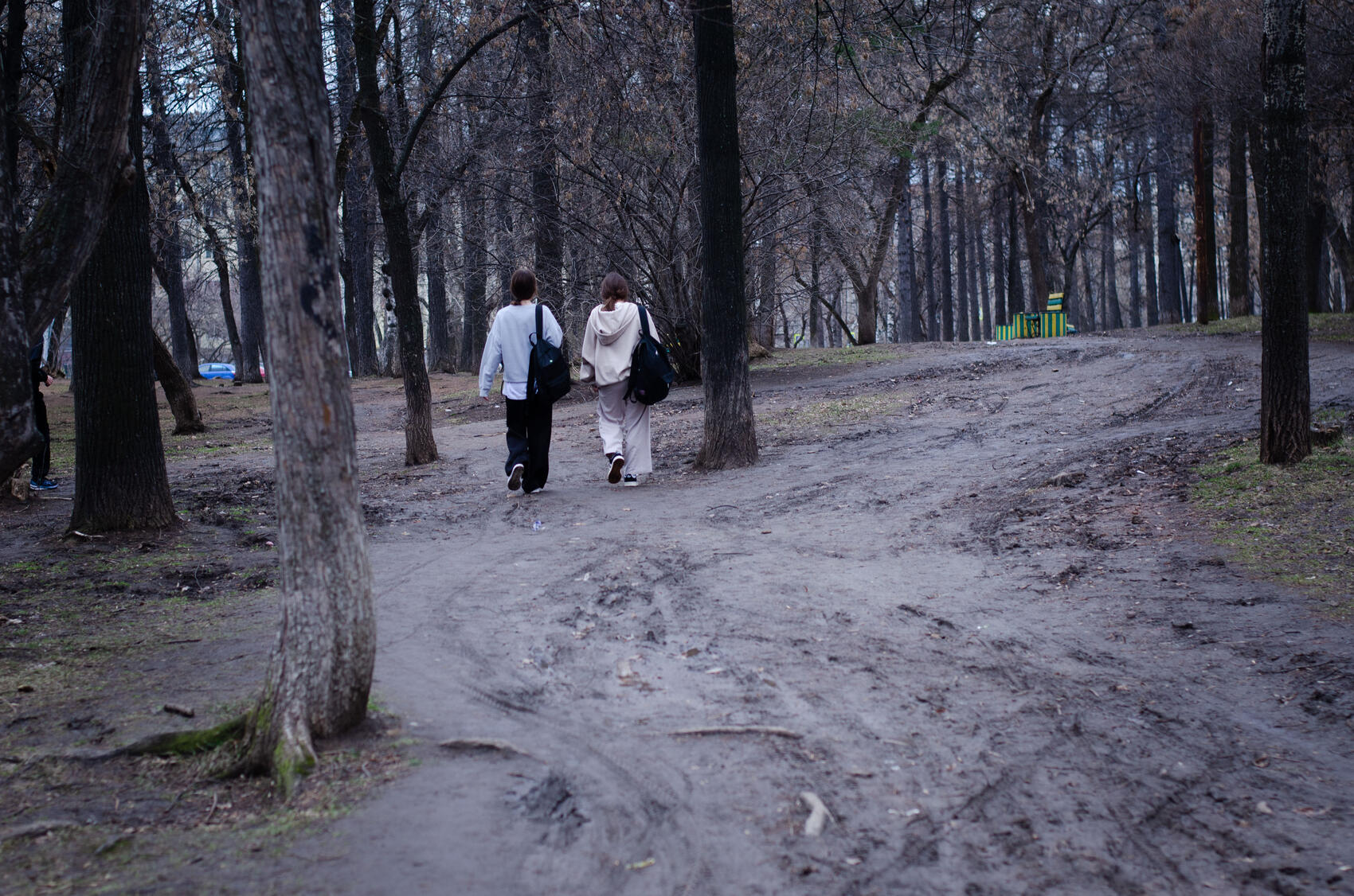 Сейчас дорожки на Метеогорке выглядят так. Фото: Евгения Кобеева / It’s My City
