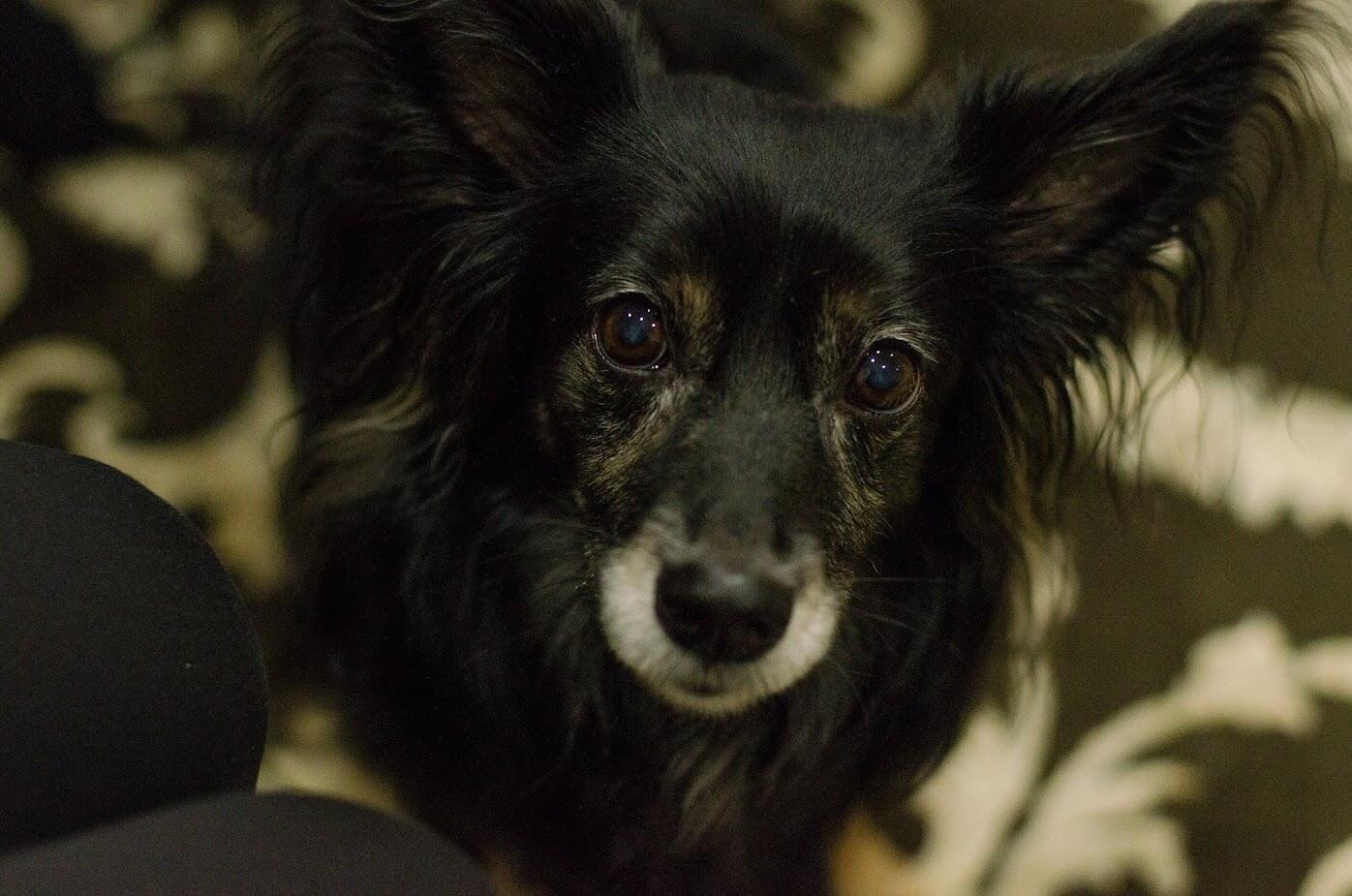 Бэт. Фото: Евгения Кобеева / It’s My City