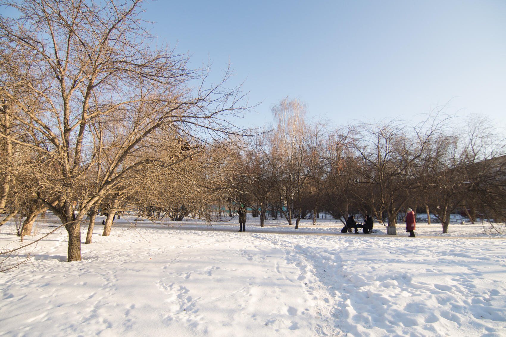 Сквер у школы 64. Фото: Елена Елизарова / It’s My&nbsp;City