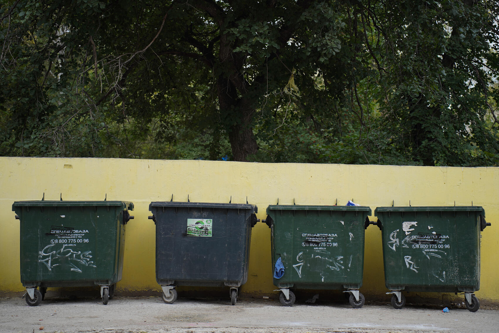 Фото: it's My City