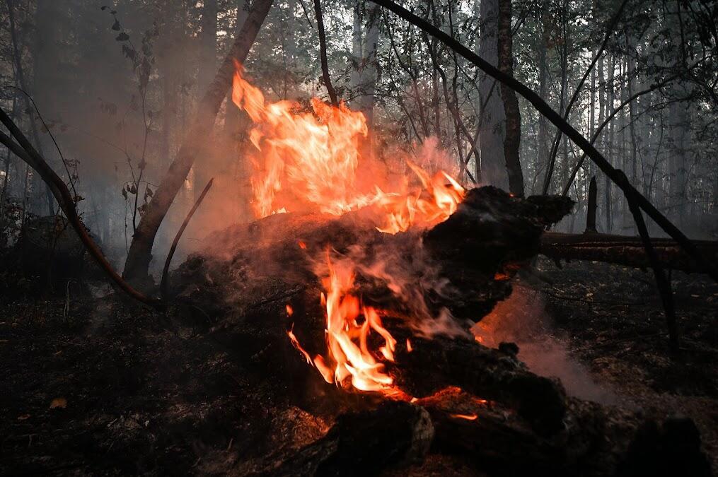 Арина Томашова / It's My City