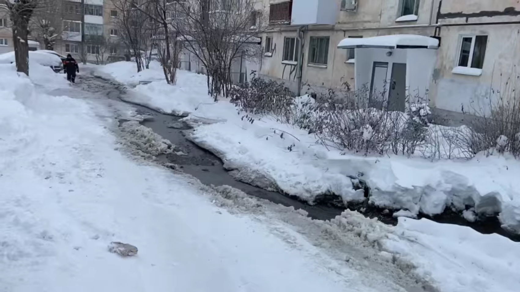 Фото: Максим Ездаков