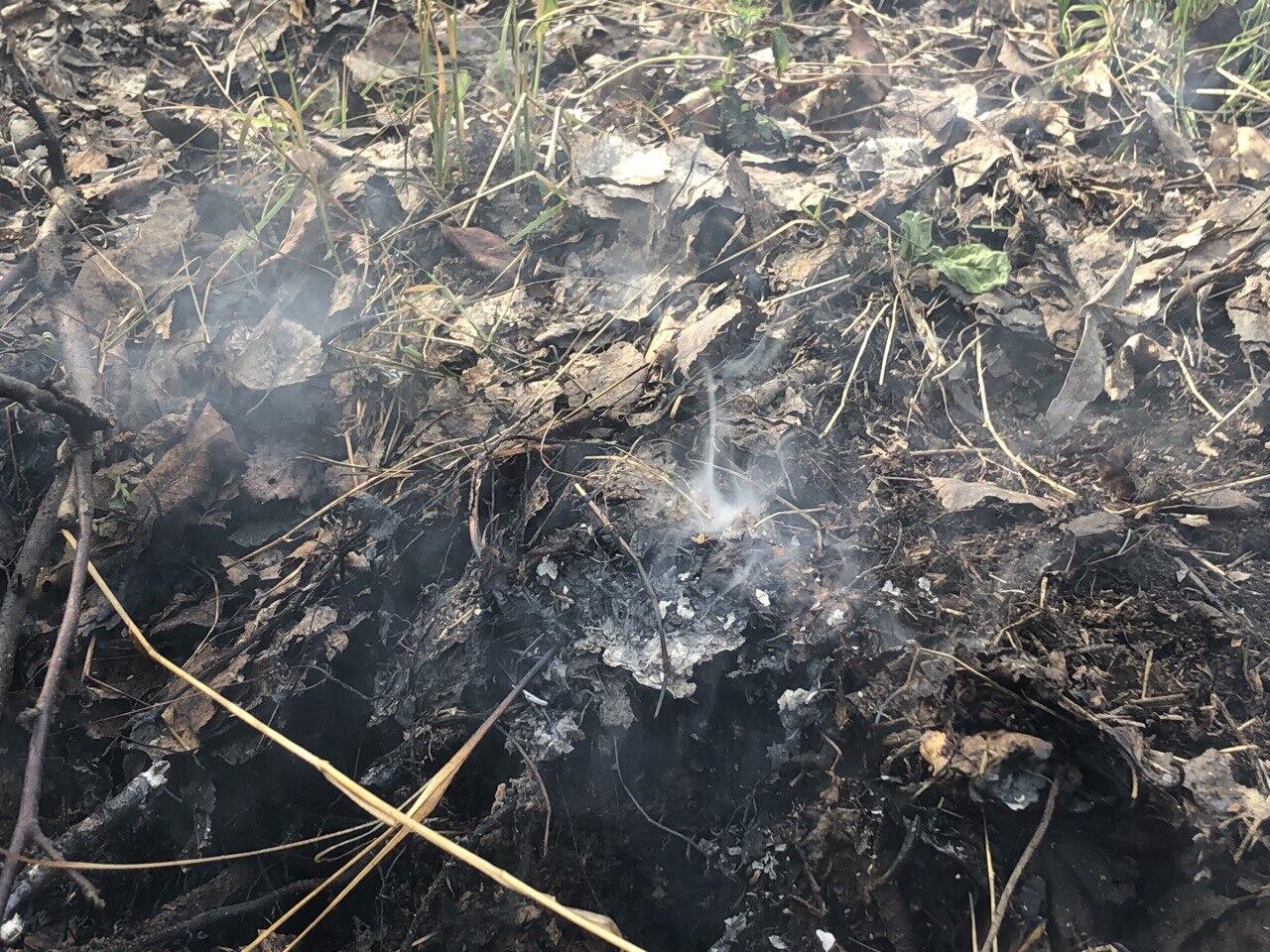 Фото: Мария Рубинина / It’s My City