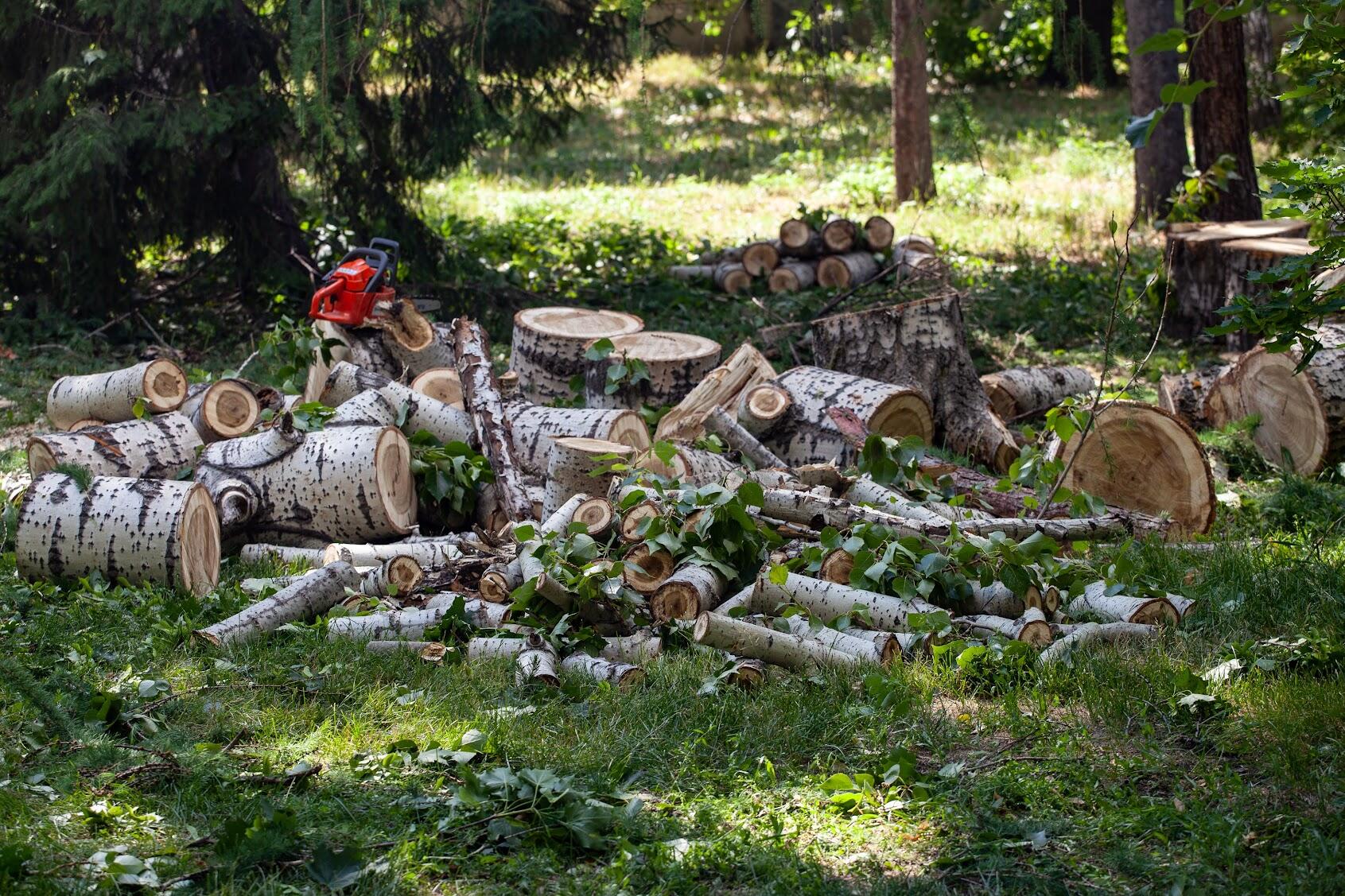 Фото: Марина Молдавская / It's My City