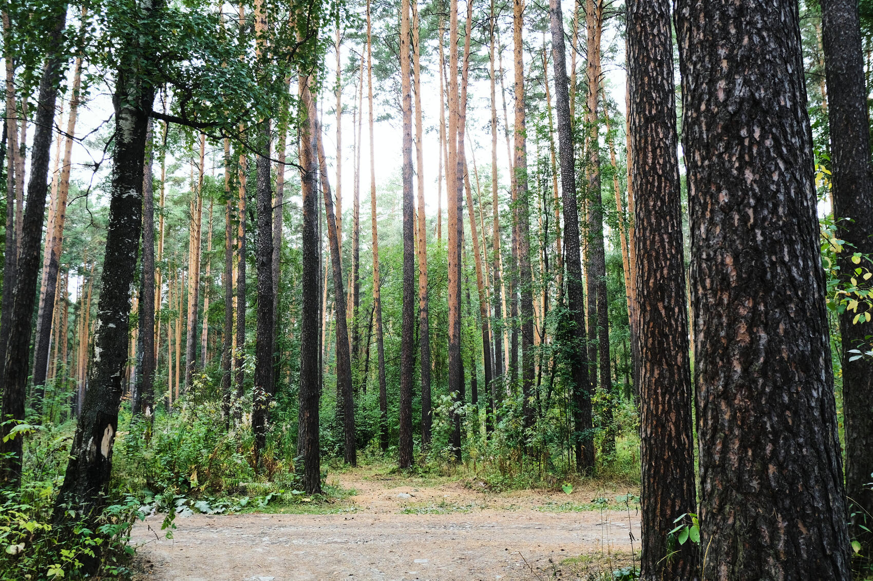 Фото: Саша Зубковский / It’s My&nbsp;City