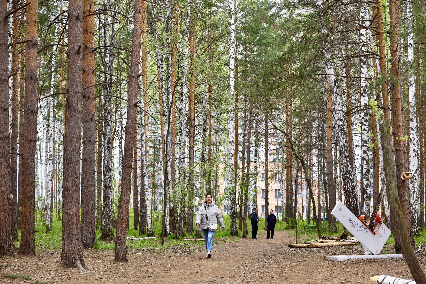 Березовая роща в Краснолесье (Академический). Фото: It's My City