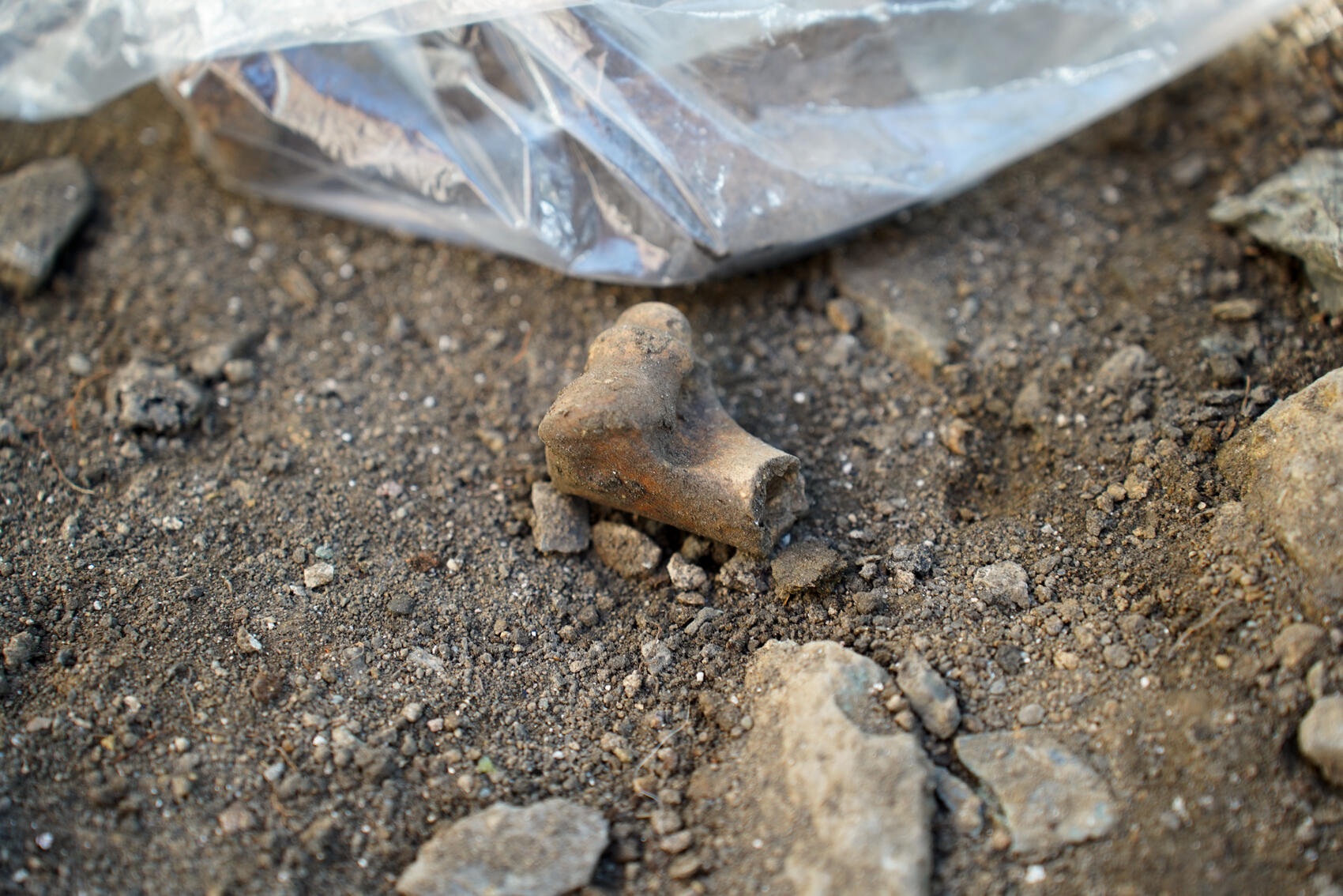 Фото: Елена Елизарова / It’s My&nbsp;City