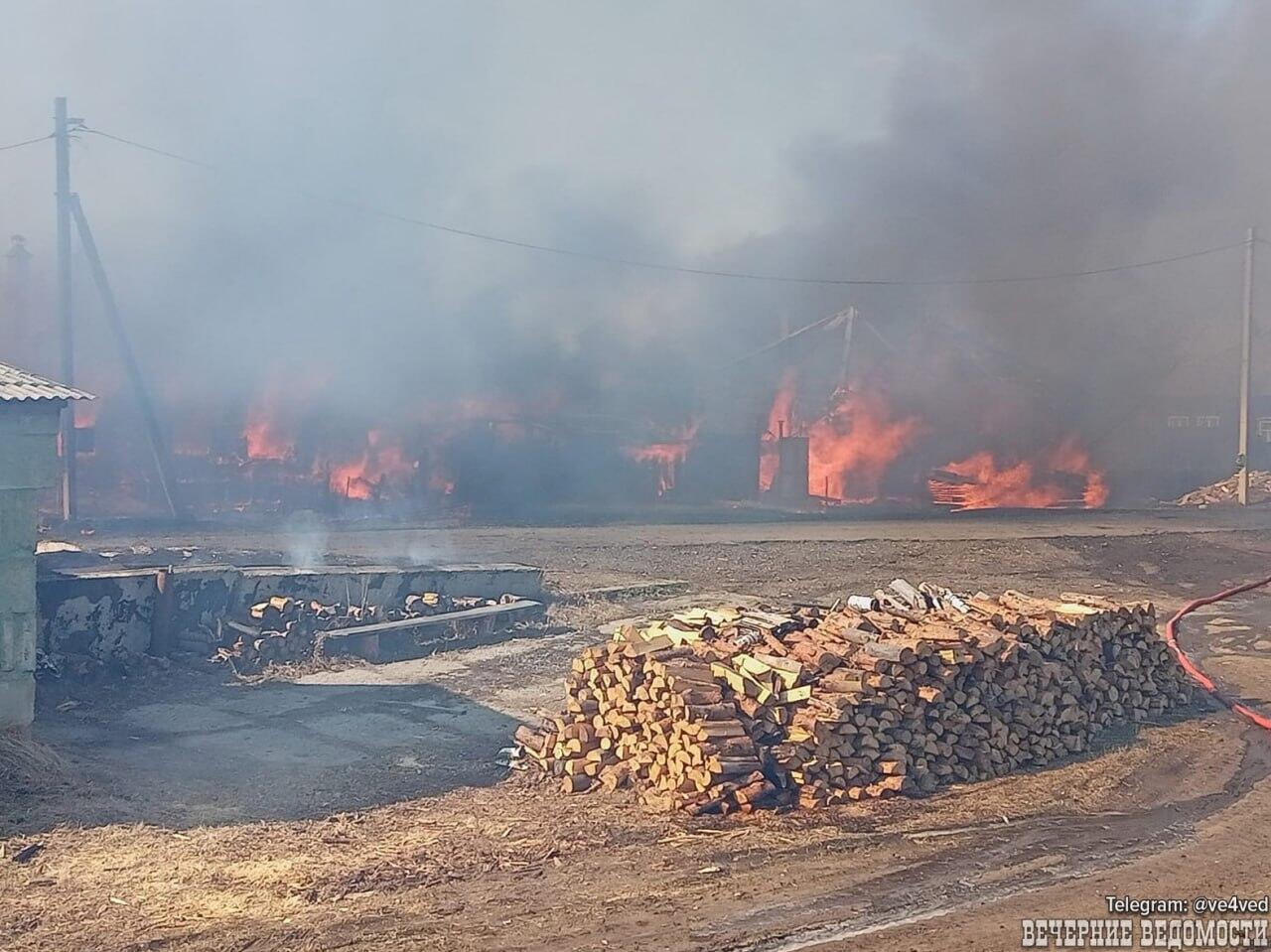 За день в разных районах Свердловской области вспыхнули семь крупных пожаров