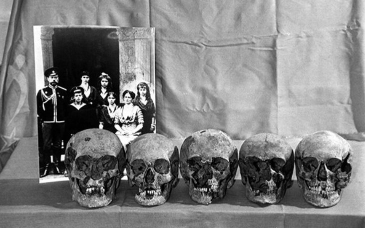 Черепа, найденные в Поросёнковом логу. Фото: ТАСС