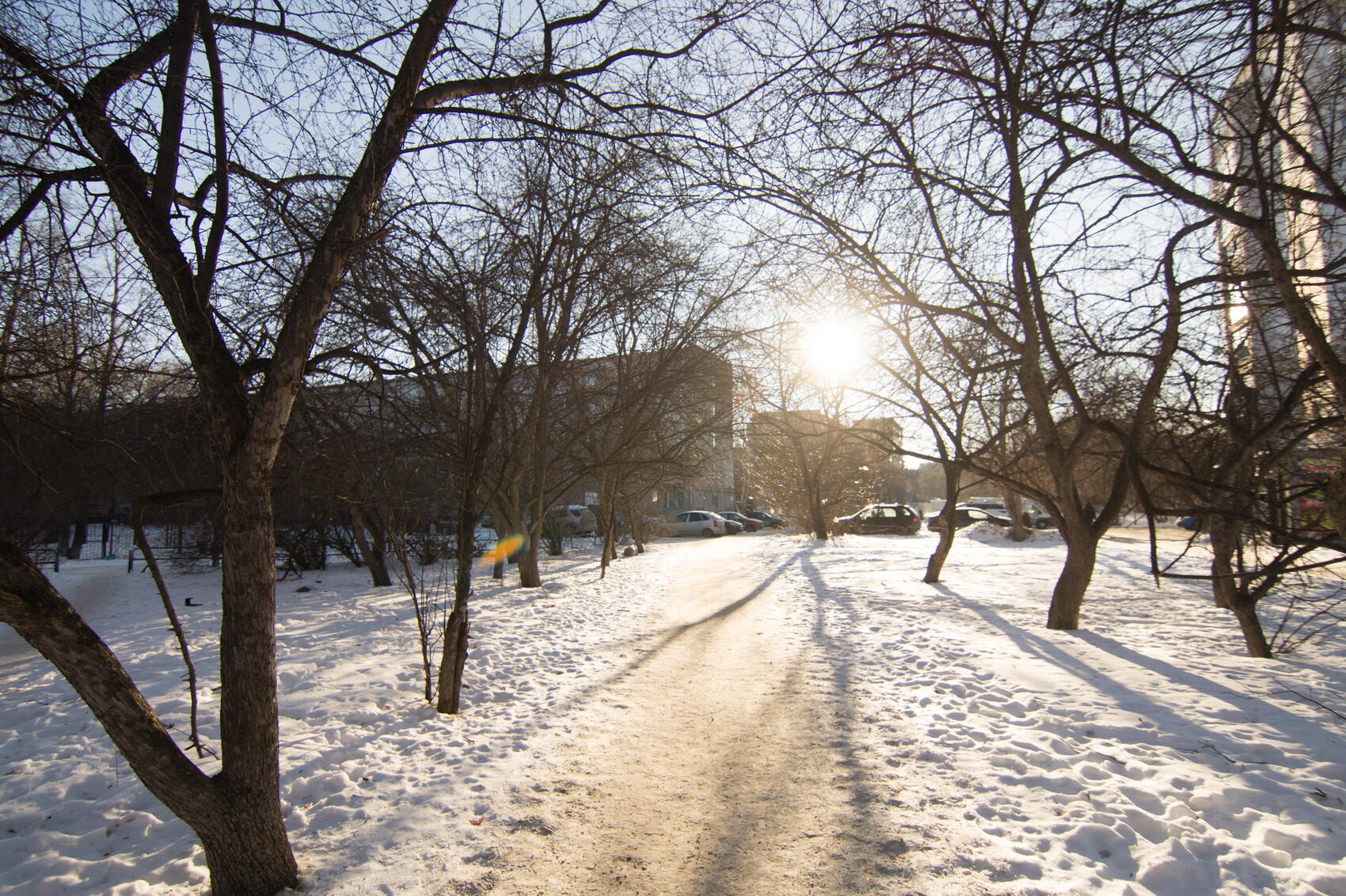 Сквер у школы №64. Фото: Елена Елизарова / It’s My City