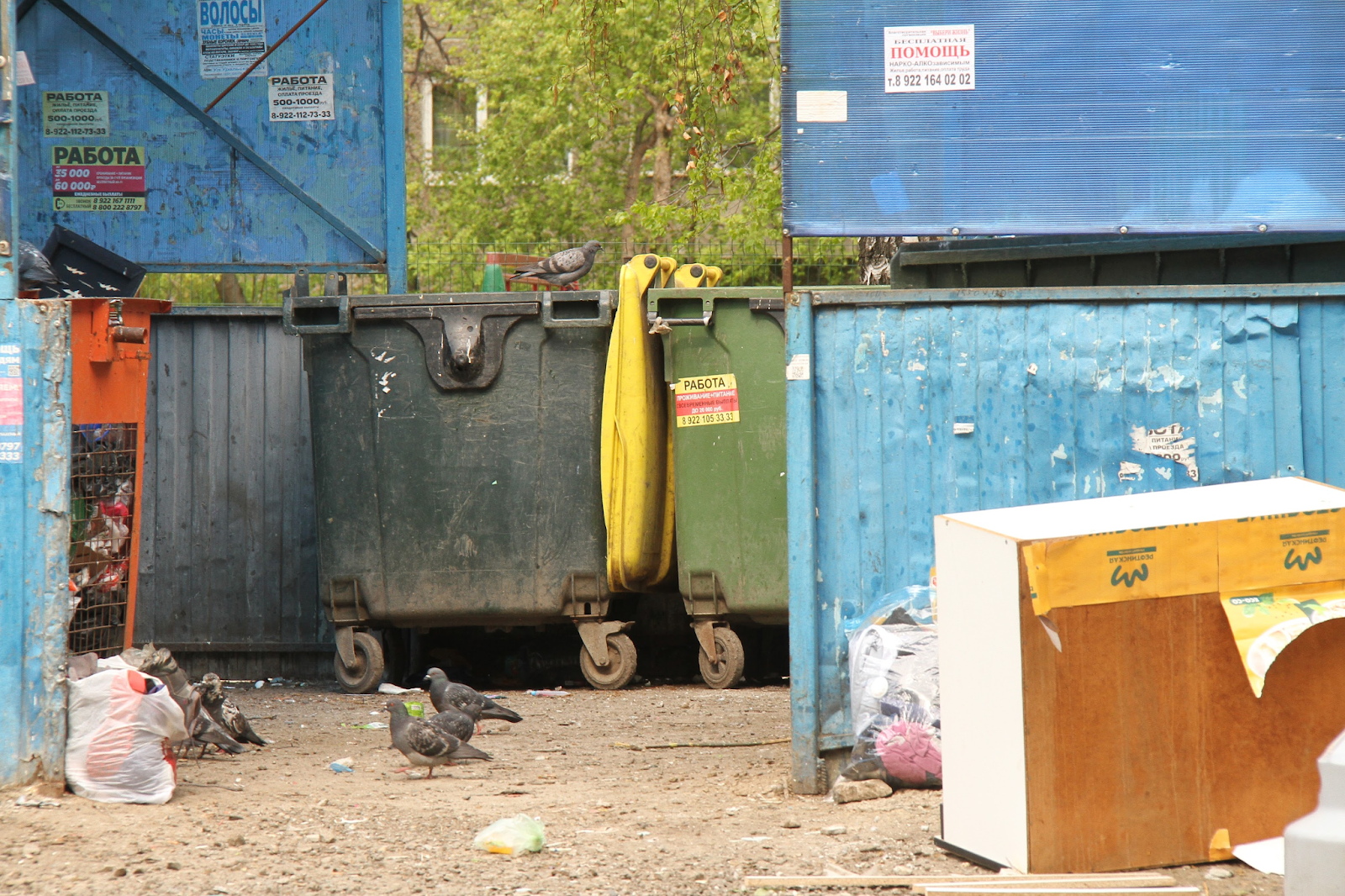 Мусорные баки у дома Леонида Лагунова