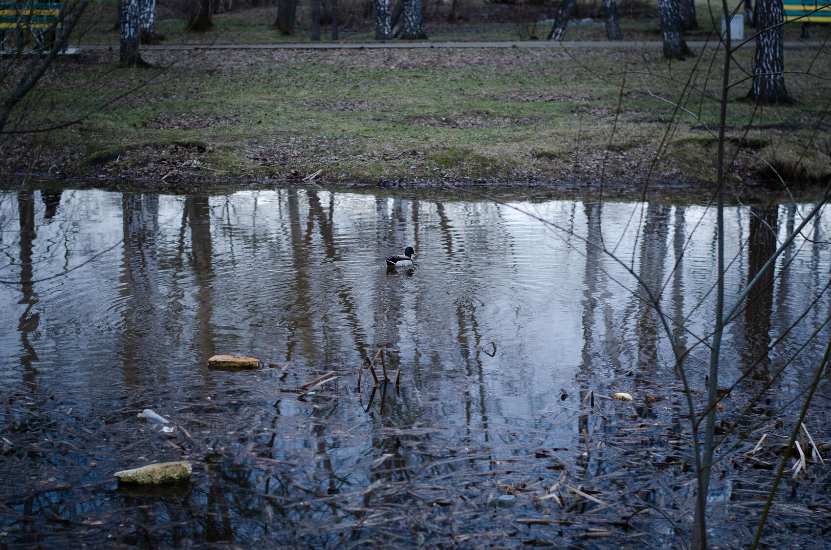 Фото: Евгения Кобеева / It’s My City