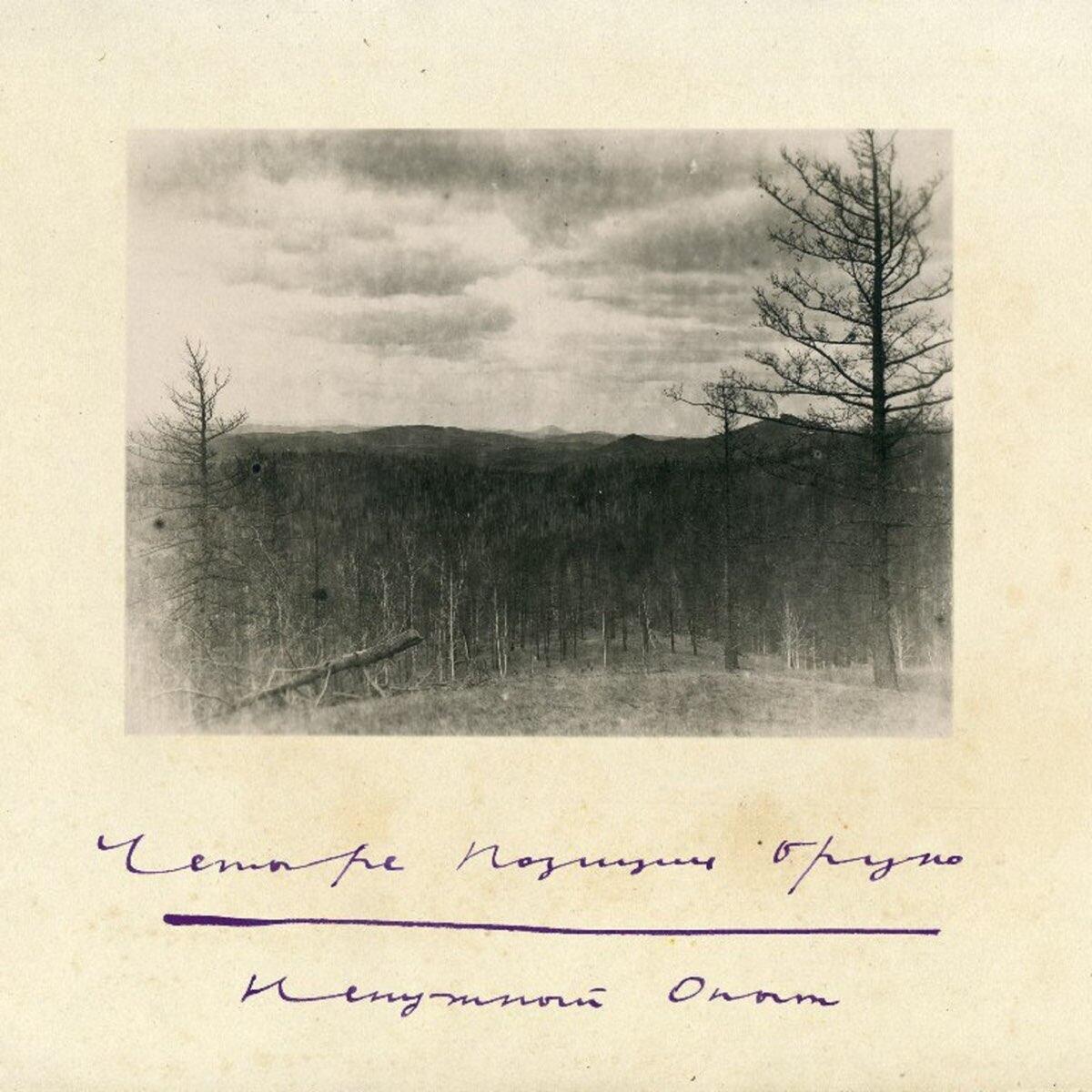 Фото: группа «4 Позиции Бруно»