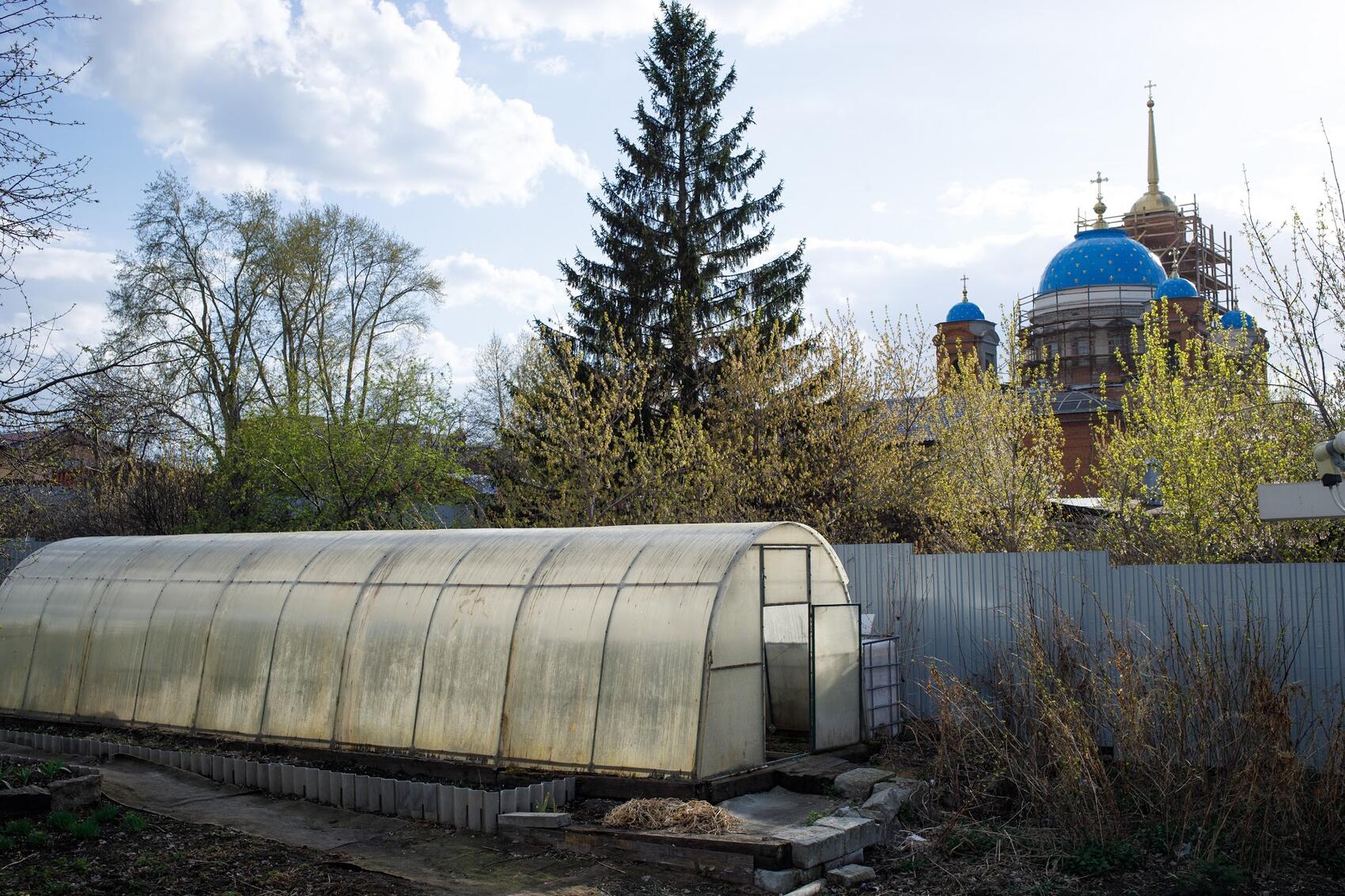 Теплица в огороде, в которой выращивают томаты, огурцы и перцы, а также вид на Собор Успения Пресвятой Богородицы. Фото: Марина Молдавская / It's My City