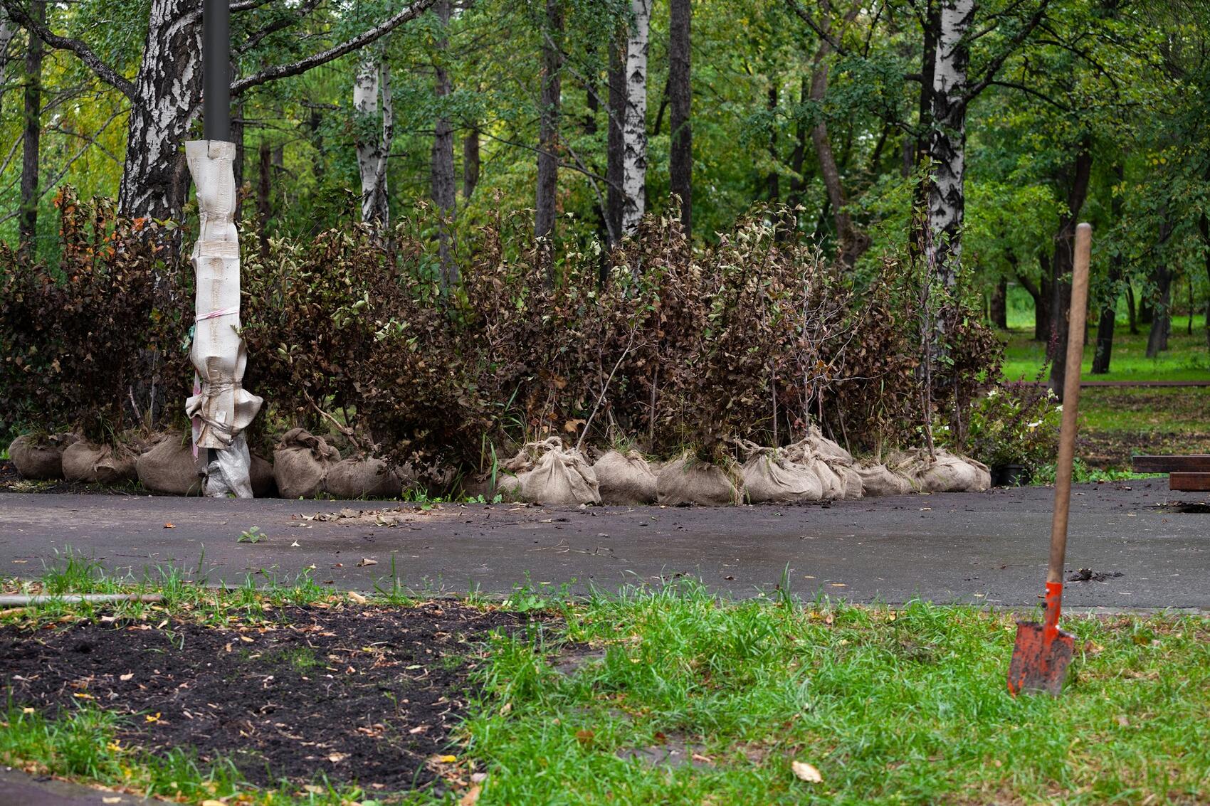 Фото: Игорь Брук / It's My City