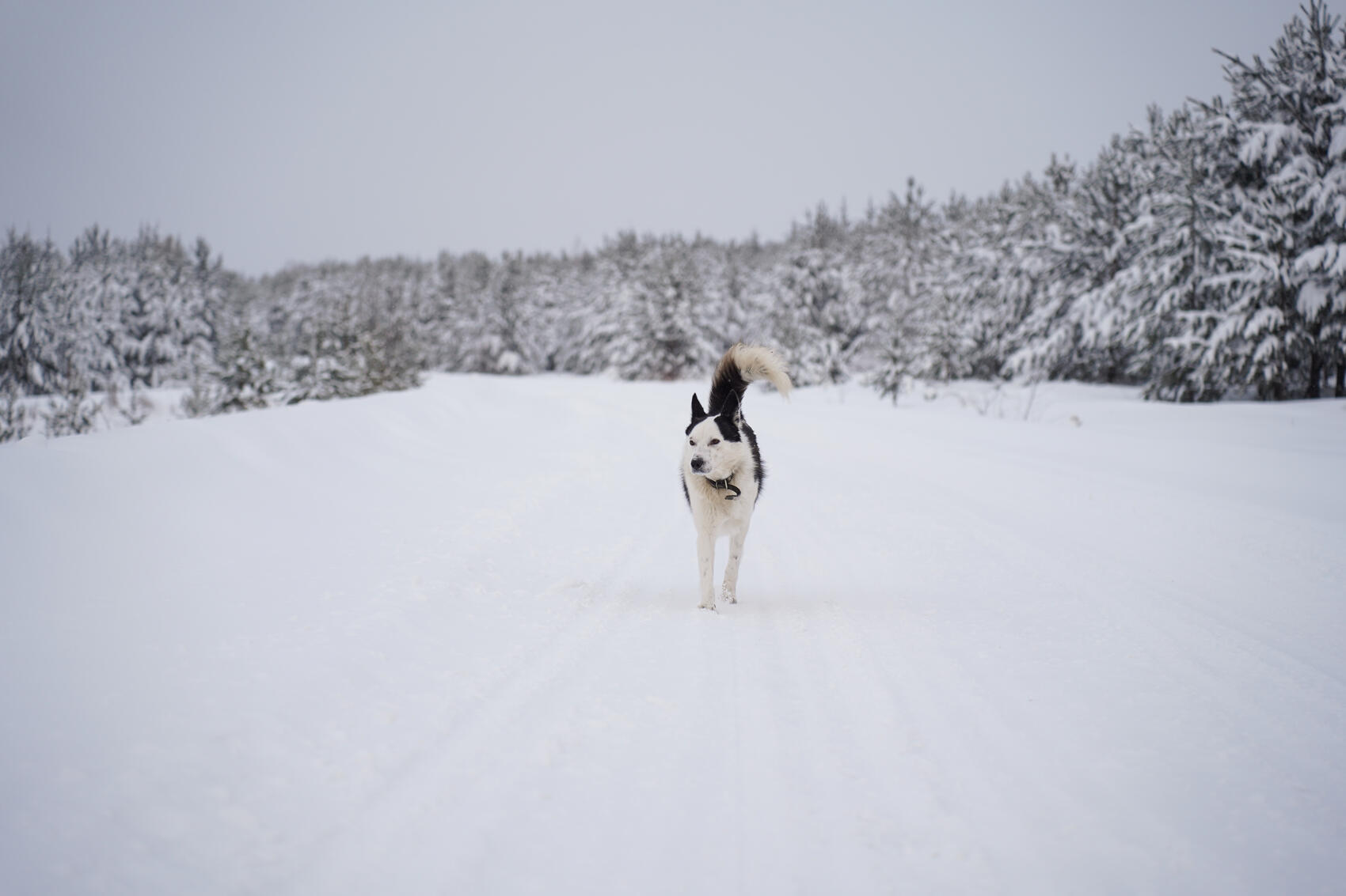 Фото: Елена Елизарова / It's My City
