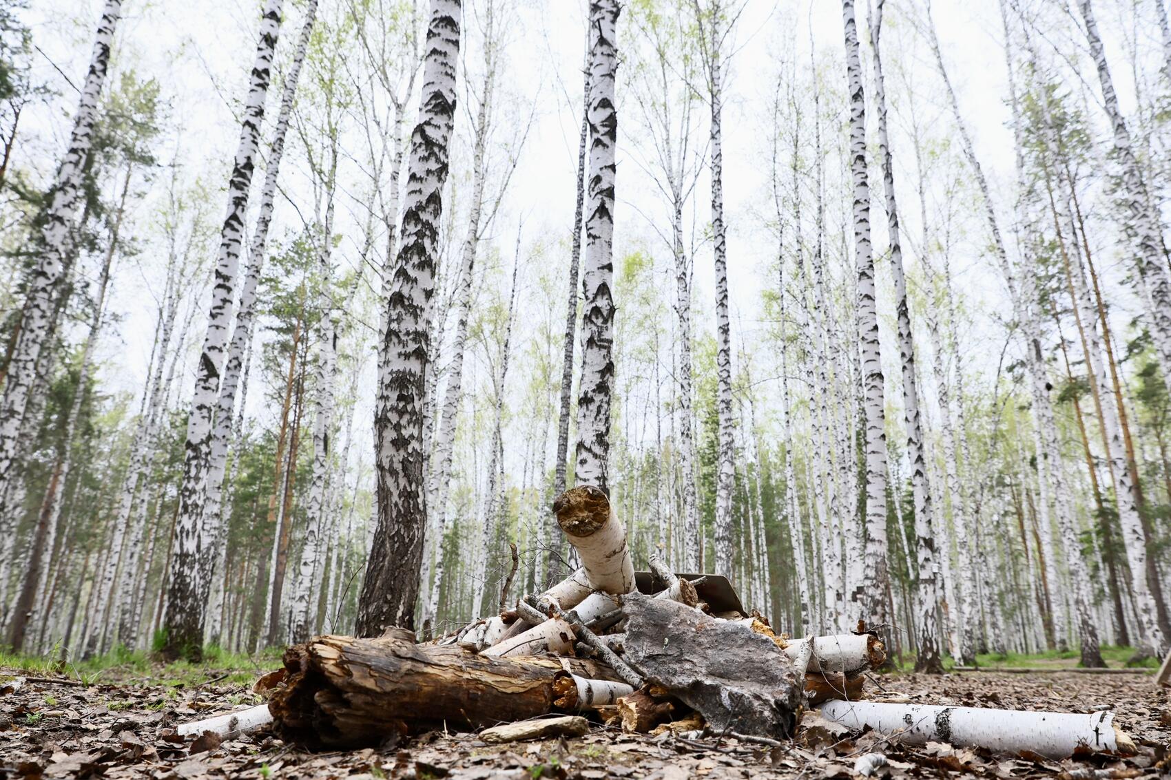 Фото: Илья Вага / It's My City