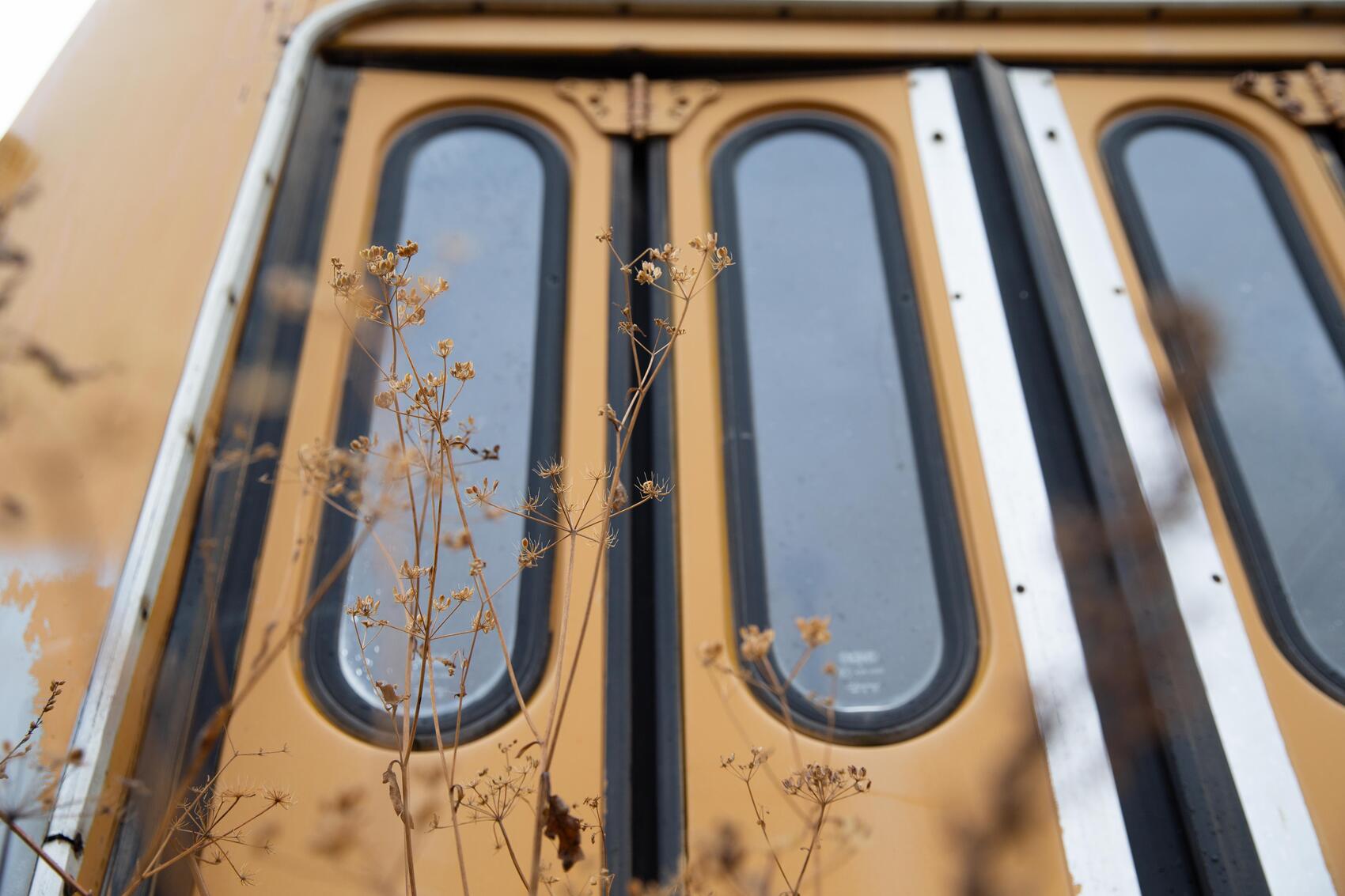 Фото: It’s My City