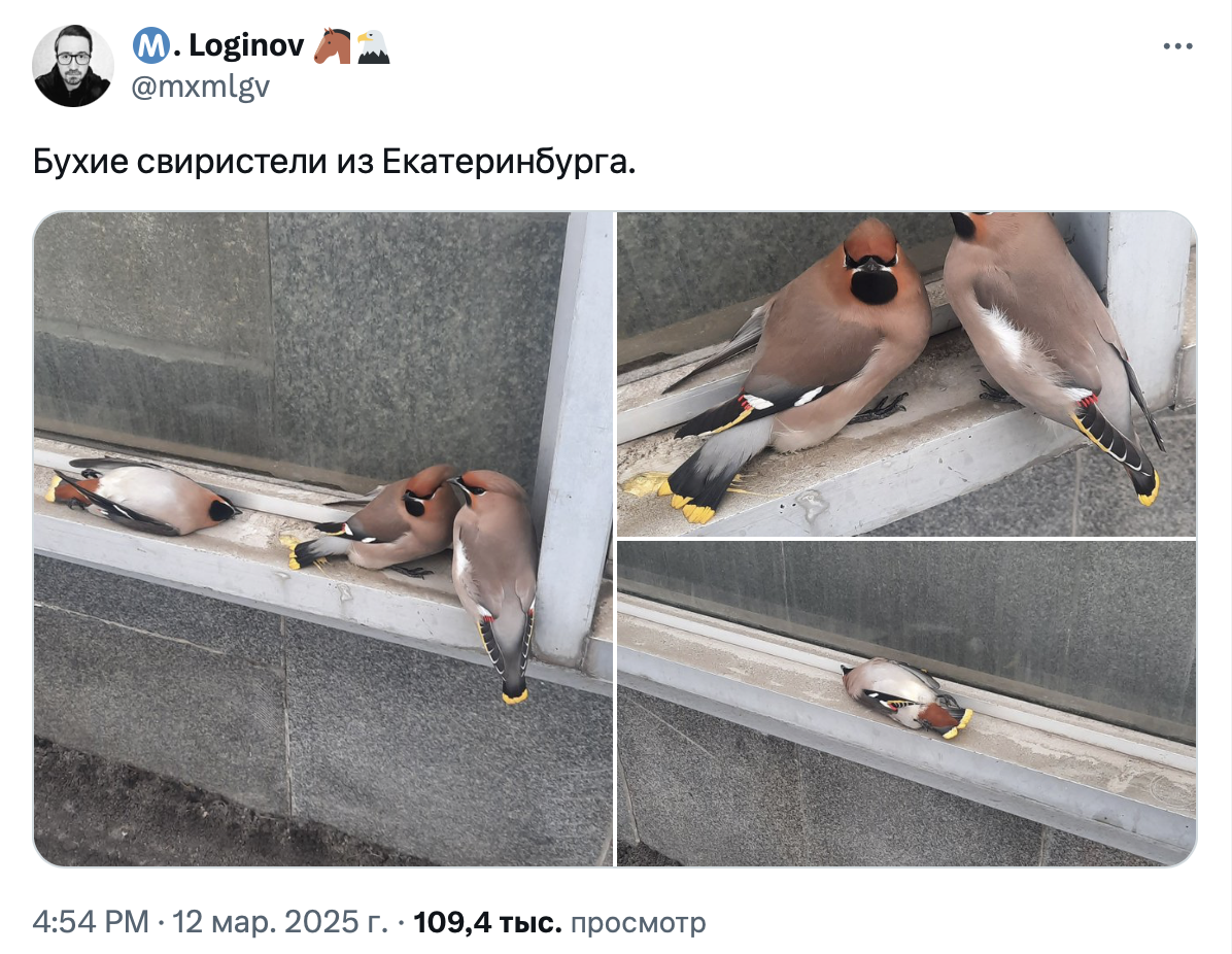 Скриншот из соцсети Х (бывший Twitter)