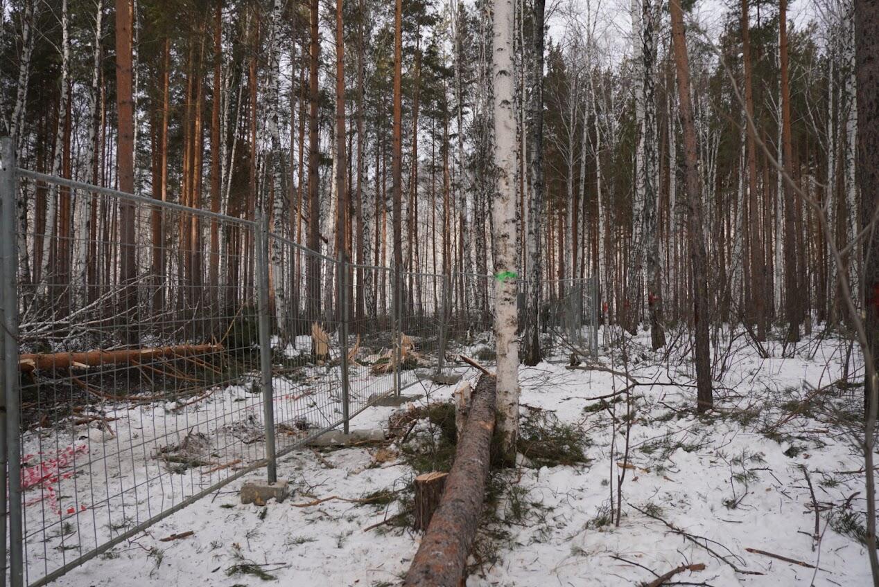 Фото: It’s My City