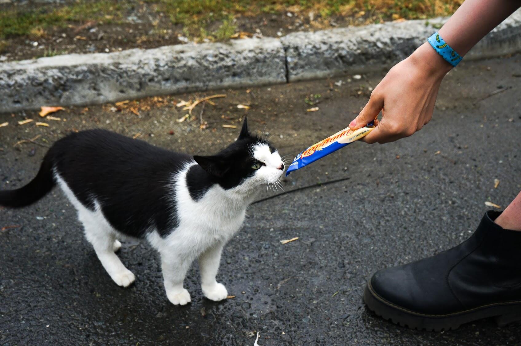 Фото: Арина Томашова / It's My City