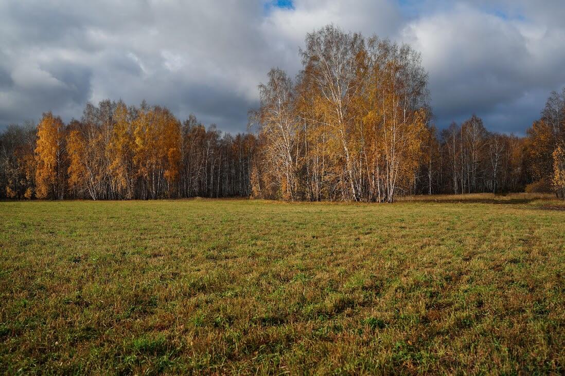 Фото: Елена Елизарова / It's My City