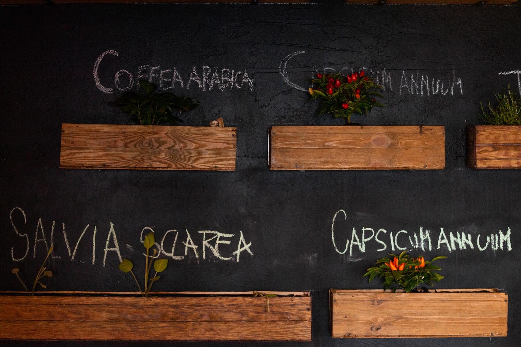 Фото: Игорь Брук / It's My City