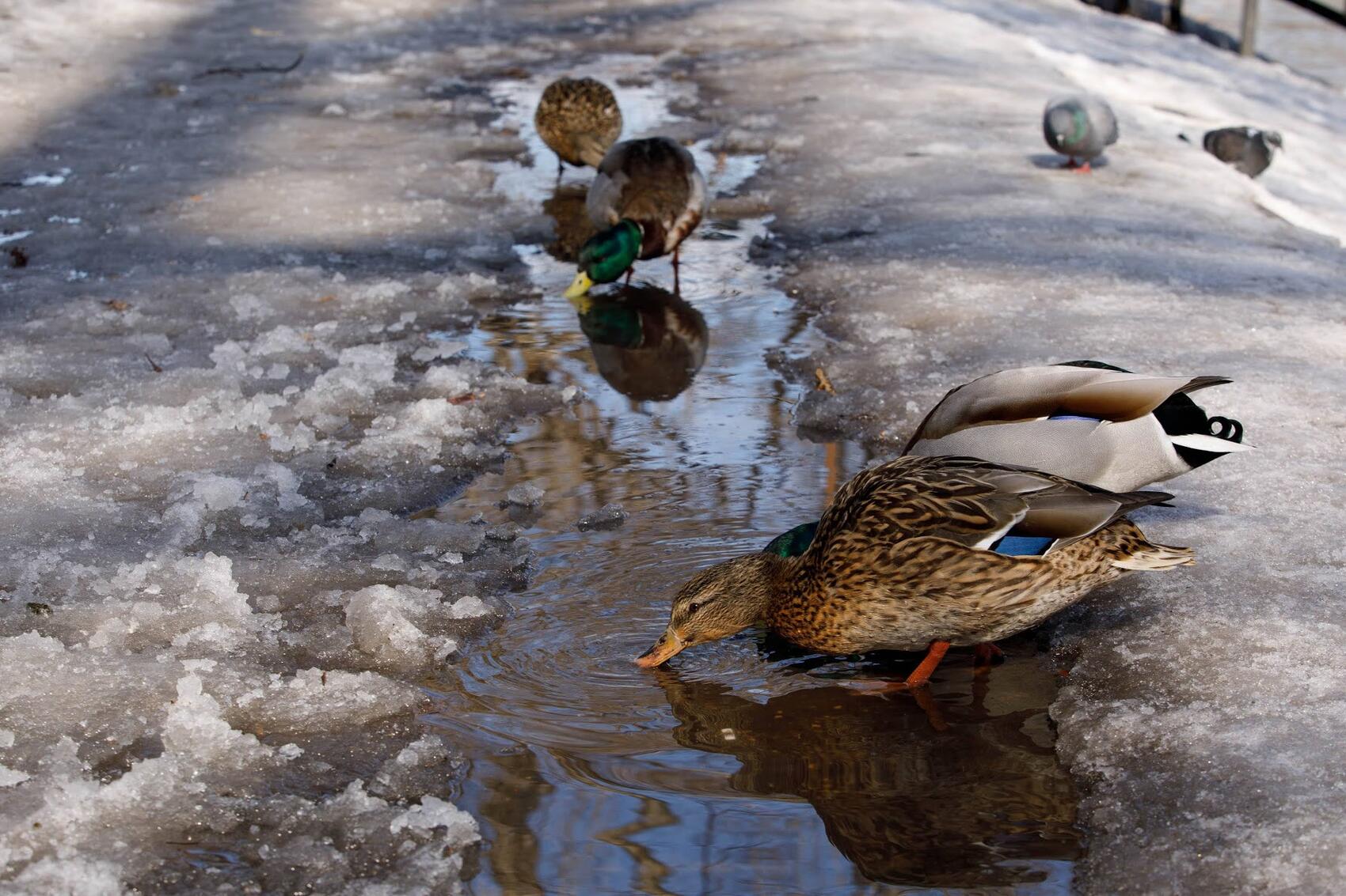 Фото: Марина Молдавская / It's My City