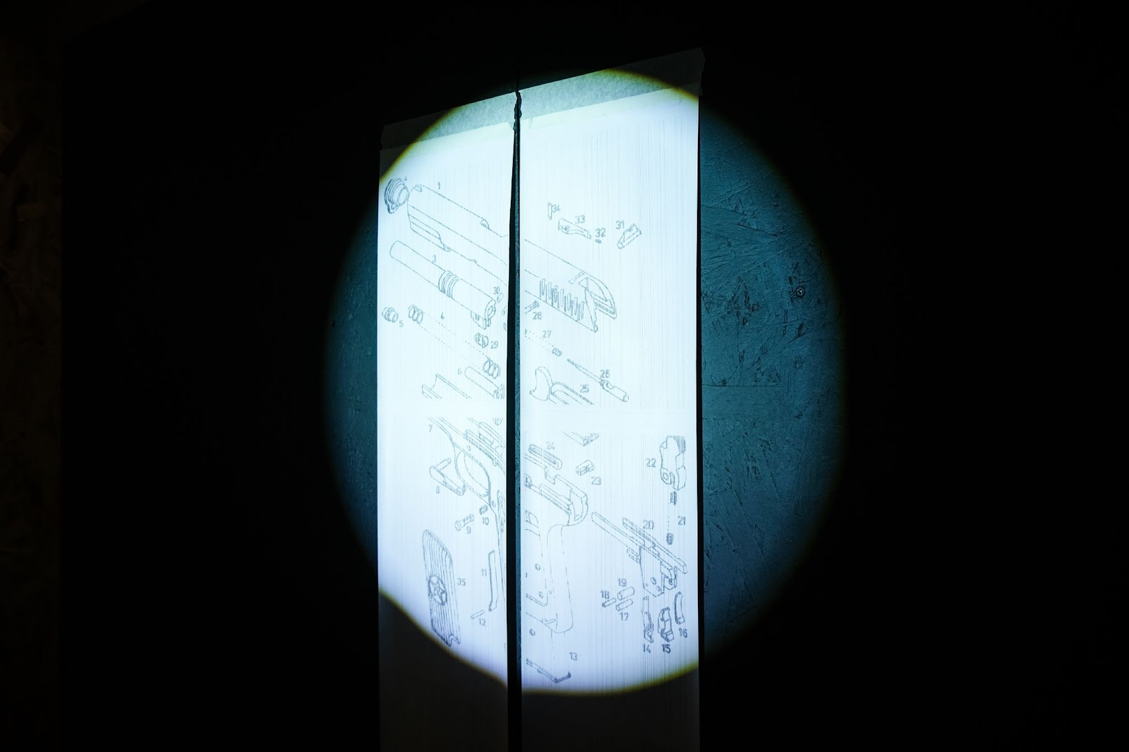 Фото: Саша Зубковский / It's My City