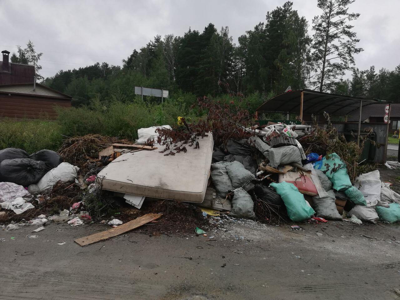 Фото: читательница It's My City