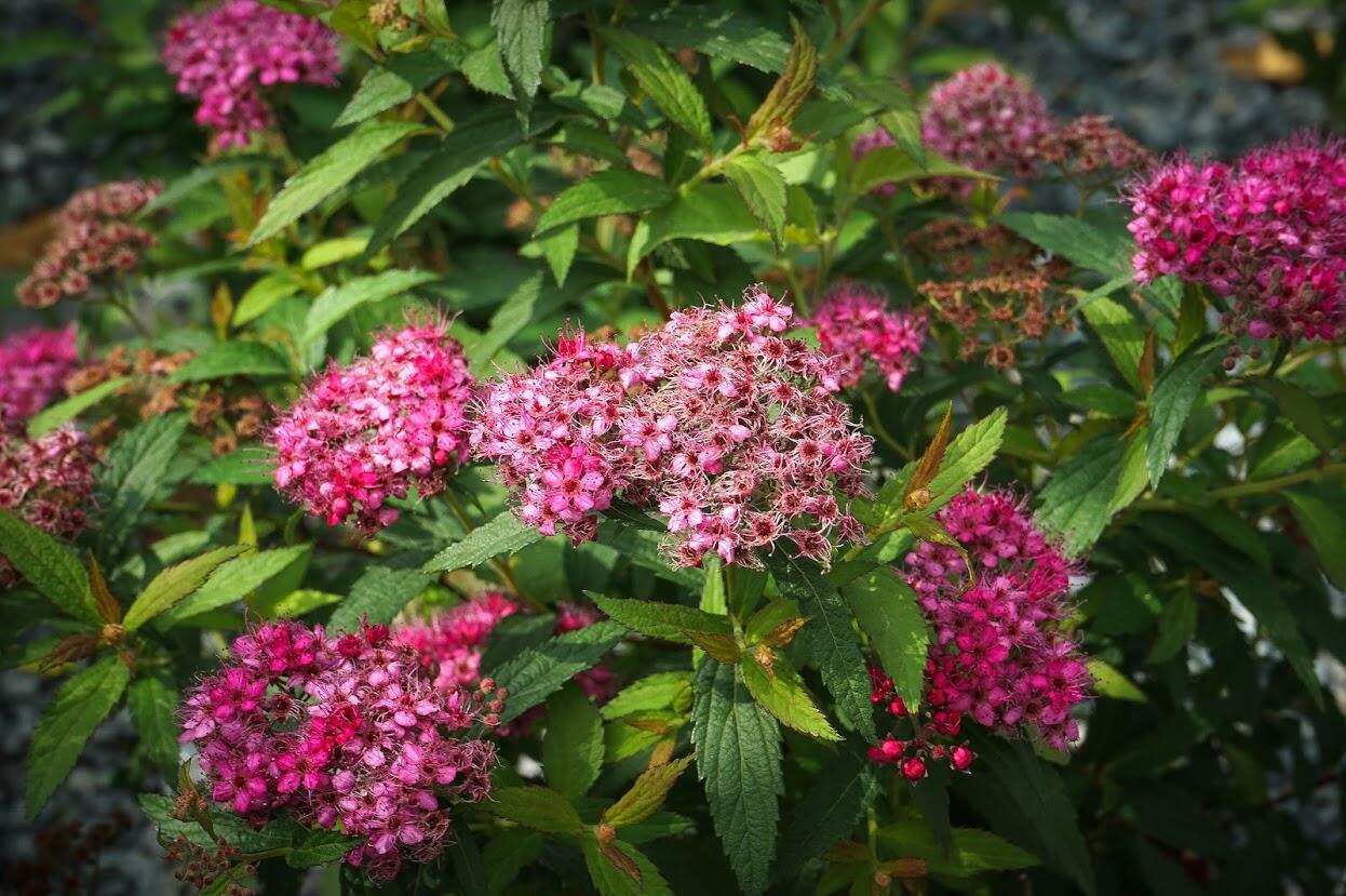 Фото: Арина Томашова / It's My City