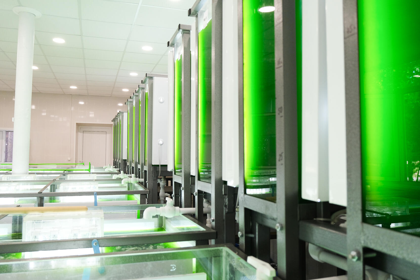 Фото: Саша Зубковский / It's My City